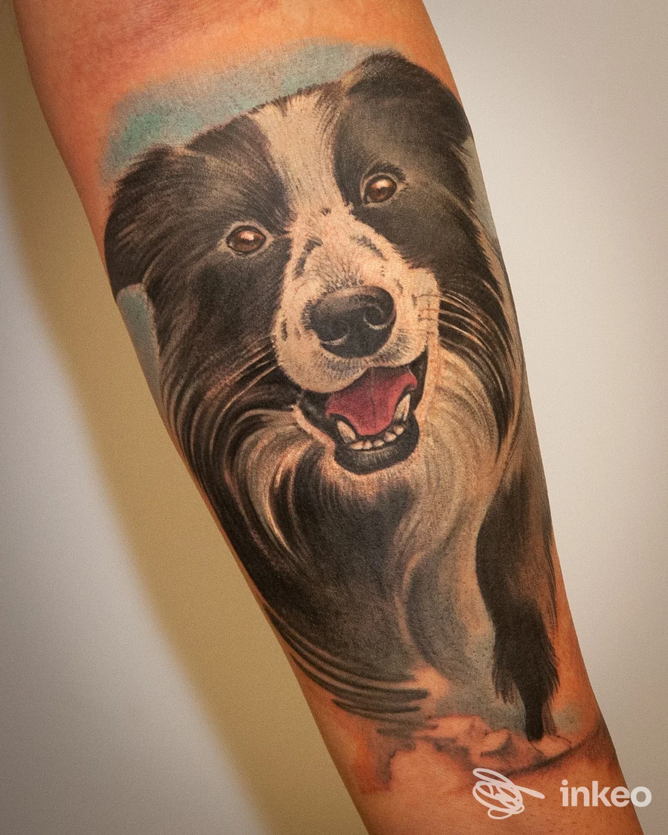 Ritratto realistico di un cane tatuato sull'avambraccio, foto fornita da inkxs atelier, Trento.