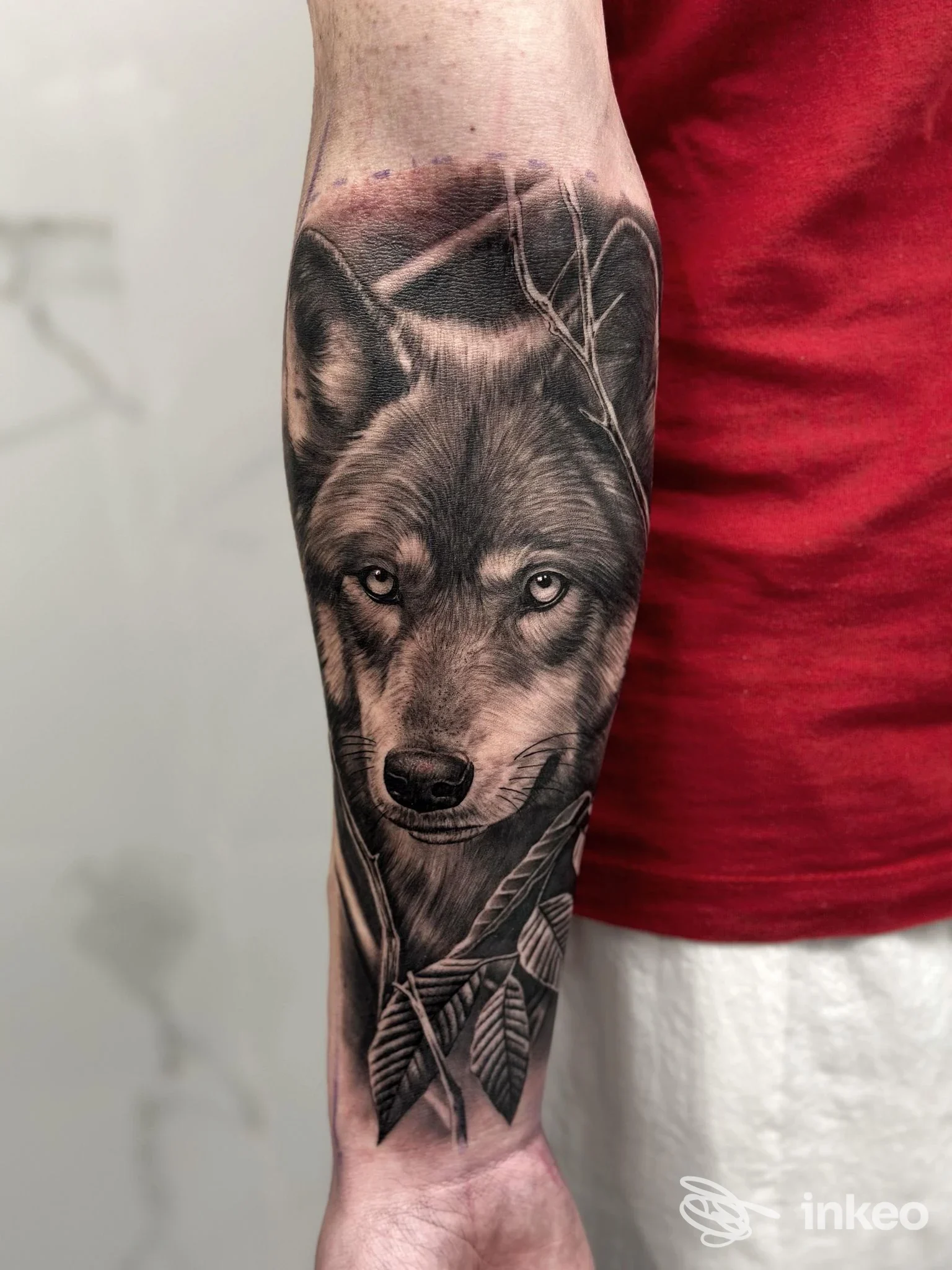 Tattoo realistico di un lupo sull’avambraccio, intricato disegno in bianco e nero con riflessi sfumati. Realizzato da COR MEUM Tattoo a Magenta, visibile parte di braccio e manica rossa.