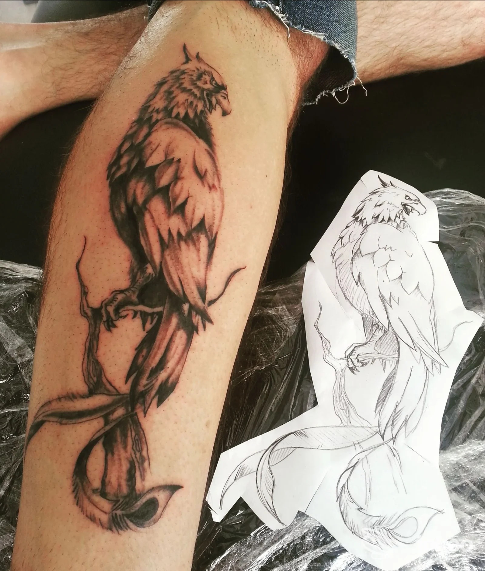 Tatuaggio blackwork di un uccello su ramo sul polpaccio; accanto il disegno preparatorio. Inksanity di Bracci Giulio, San Vincenzo.