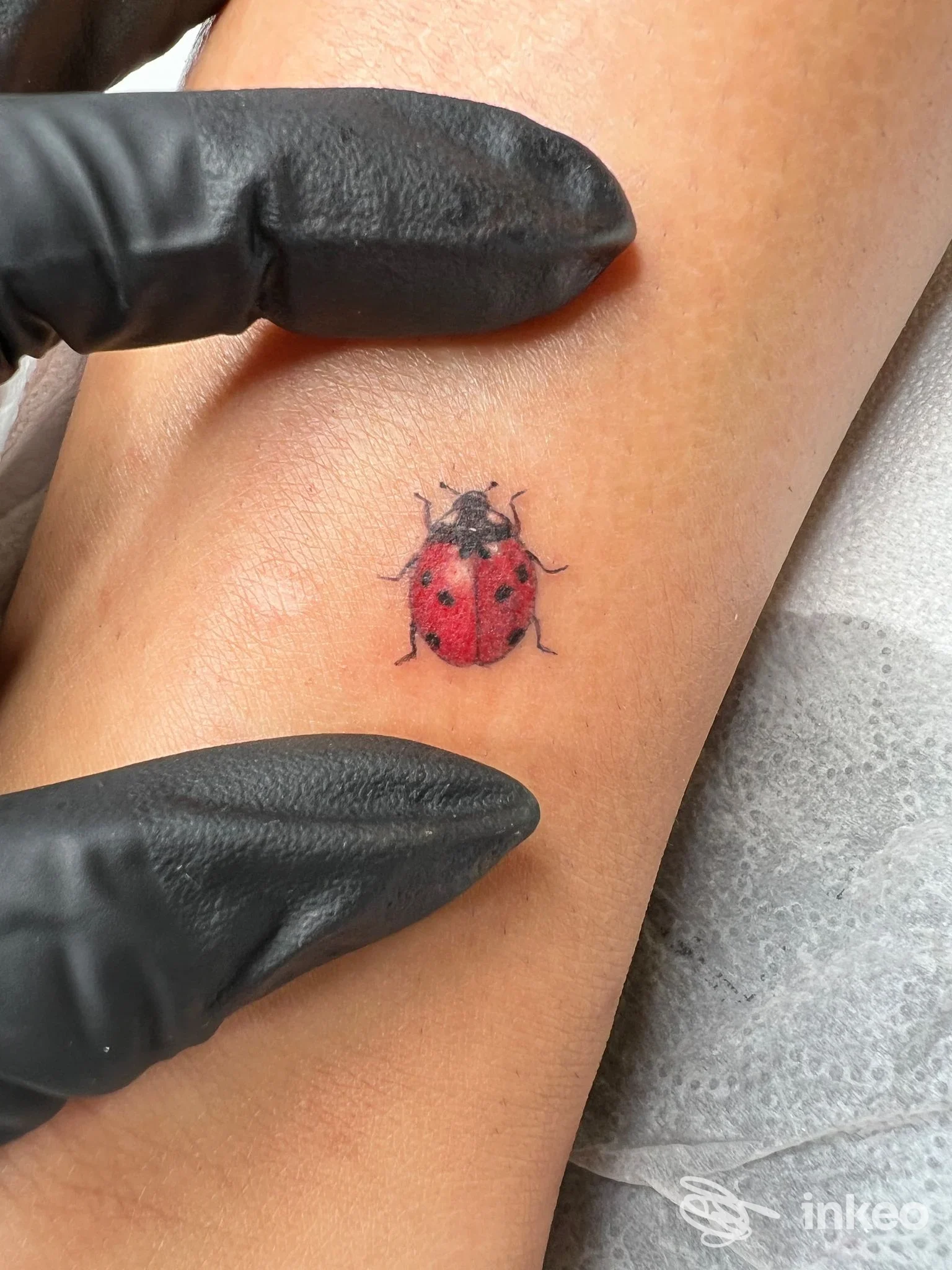 Tatuaggio realistico di una coccinella sull'avambraccio, foto dallo studio La Mariposa Tattoo Studio a Roma.