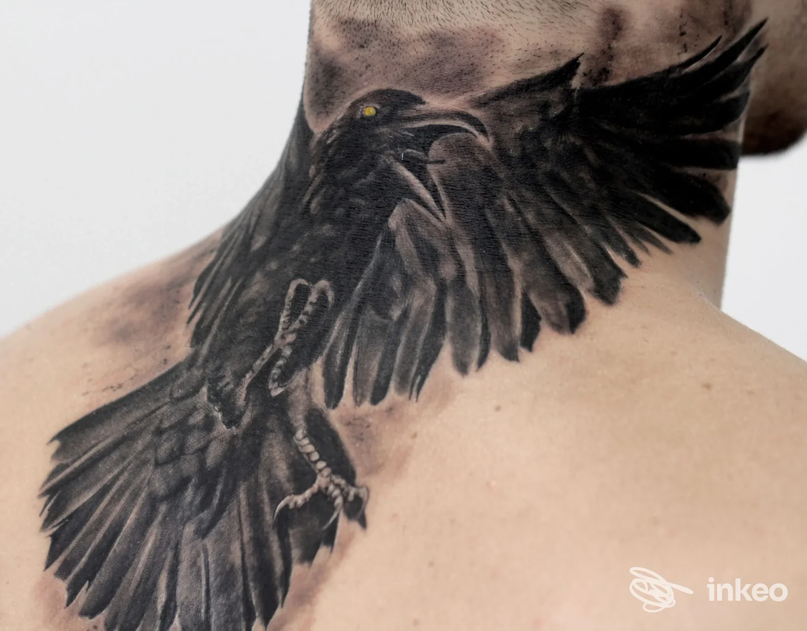 Tatuaggio di un grande corvo nero sulla nuca e parte superiore della schiena, lavoro eseguito da Max Art Modification, Roma.