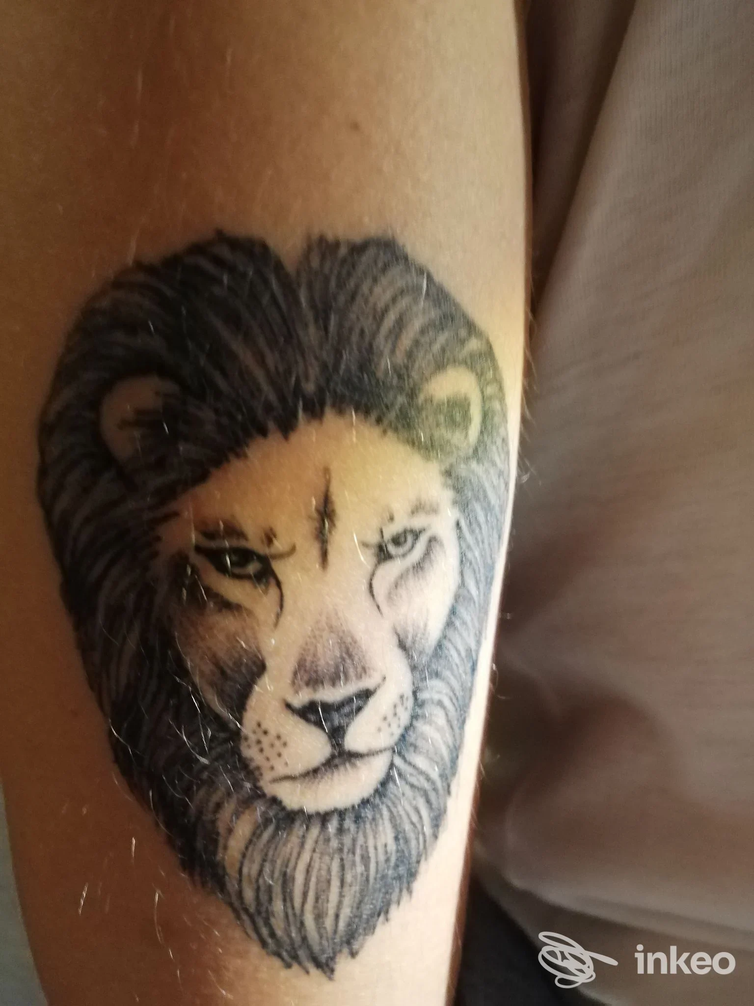 Tatuaggio testa di leone in bianco e nero sull'avambraccio, realizzato da Back In Black Vicenza a Vicenza.
