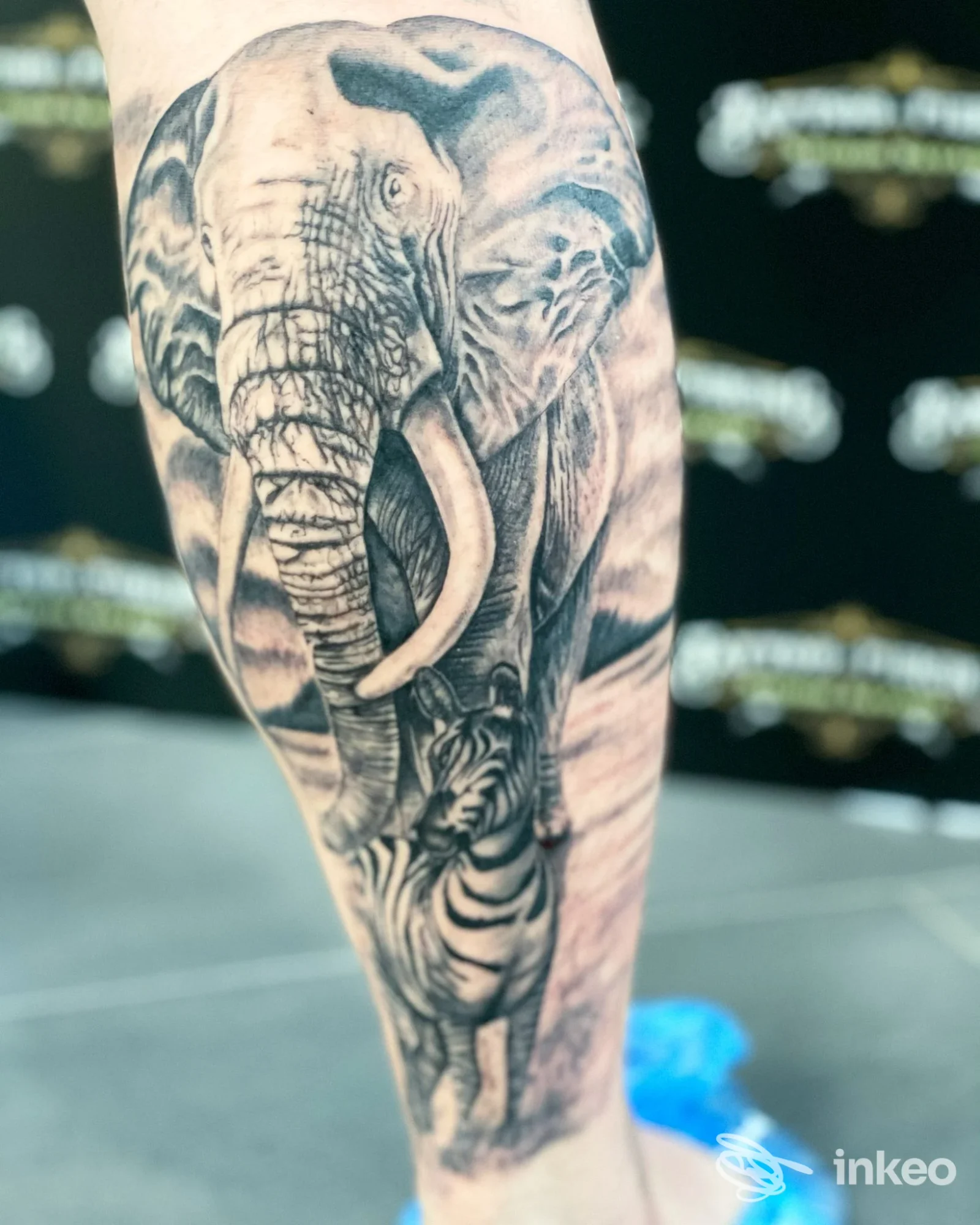 Elefante in stile realistico tatuato sulla gamba, eseguito dallo studio Savage Tattoo, visibile in primo piano su gamba nuda.