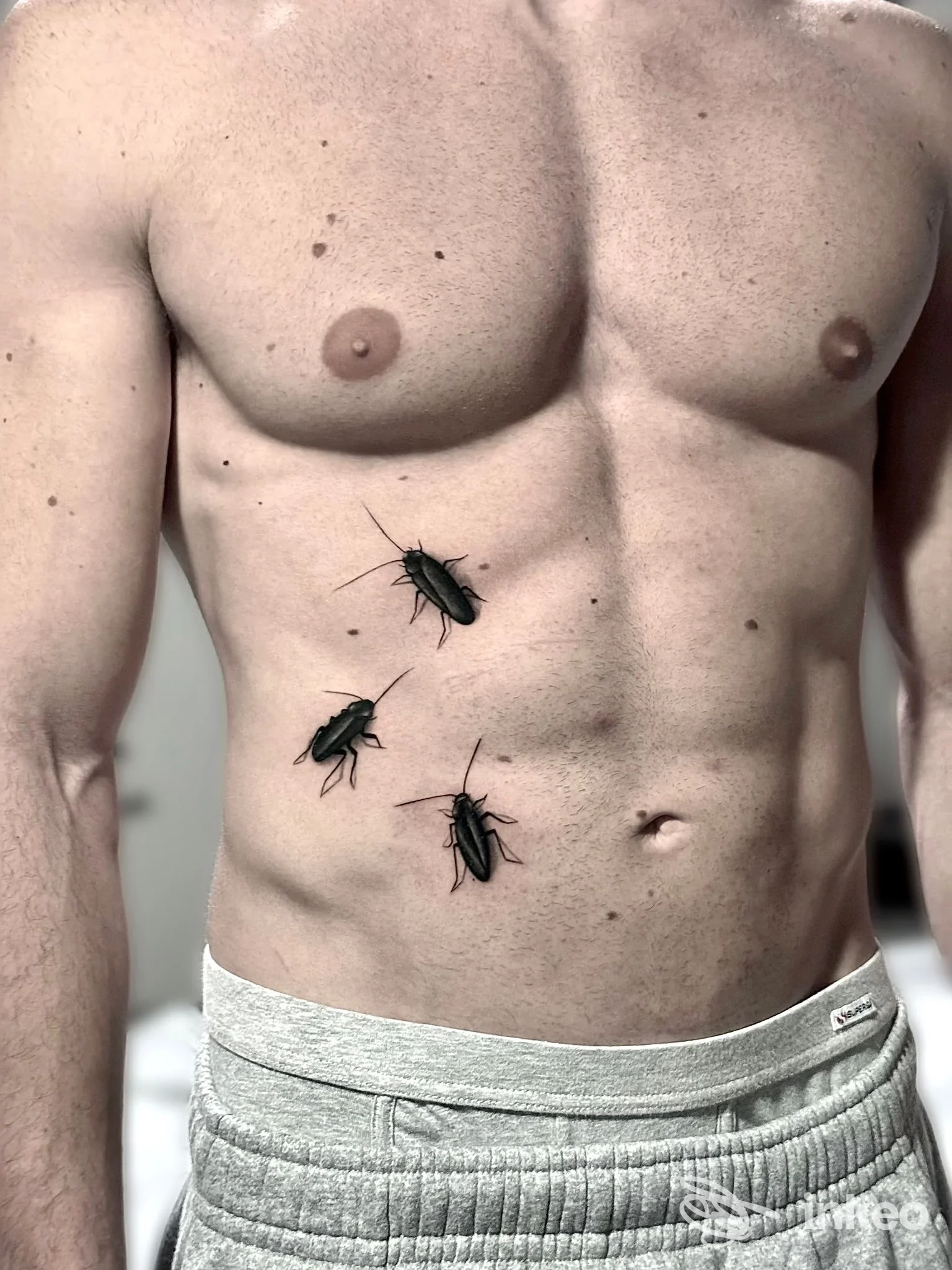 Torace e addome maschile con tre tatuaggi realistici di scarafaggi, foto per Vito Falco Tattoo Studio, Bari.