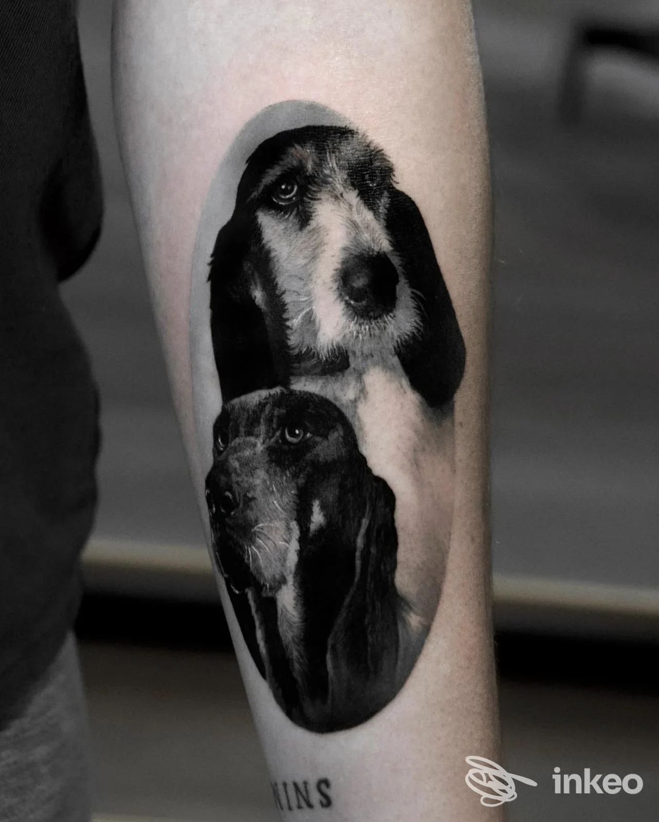 Tatuaggio realistico di due ritratti di cane sull'avambraccio, Vito Falco Tattoo Studio, Bari.