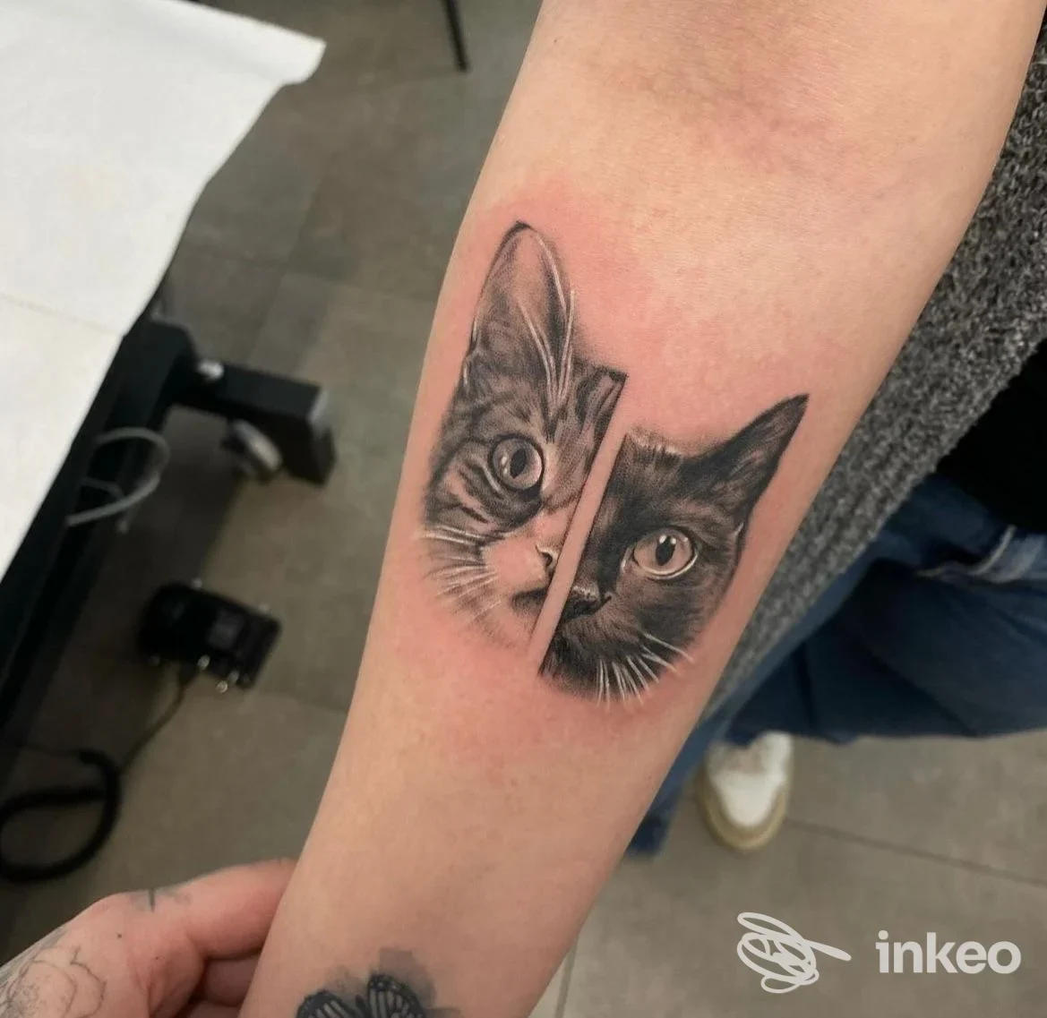 Tatuaggio realistico in bianco e nero con due volti di gatto sull'avambraccio, immagine fornita da The SkInk Shop Casale, Casale sul Sile.