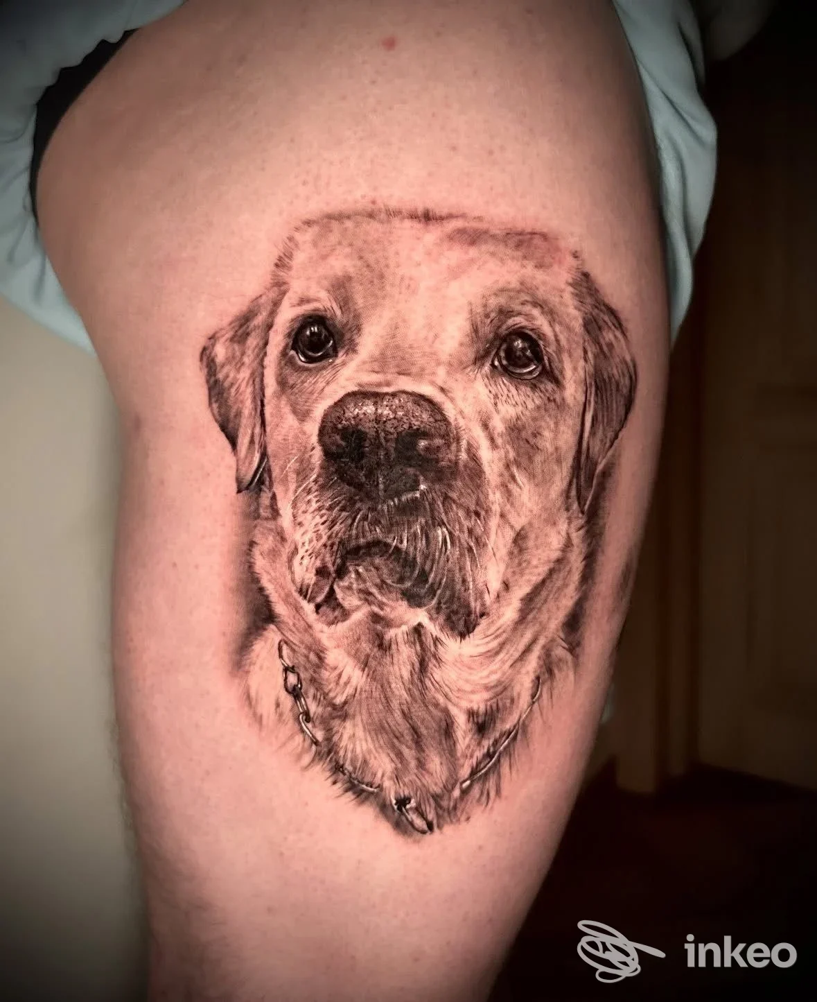 Ritratto realistico di un cane tatuato sulla parte alta della coscia — INK TO THE WILD, Tivoli.
