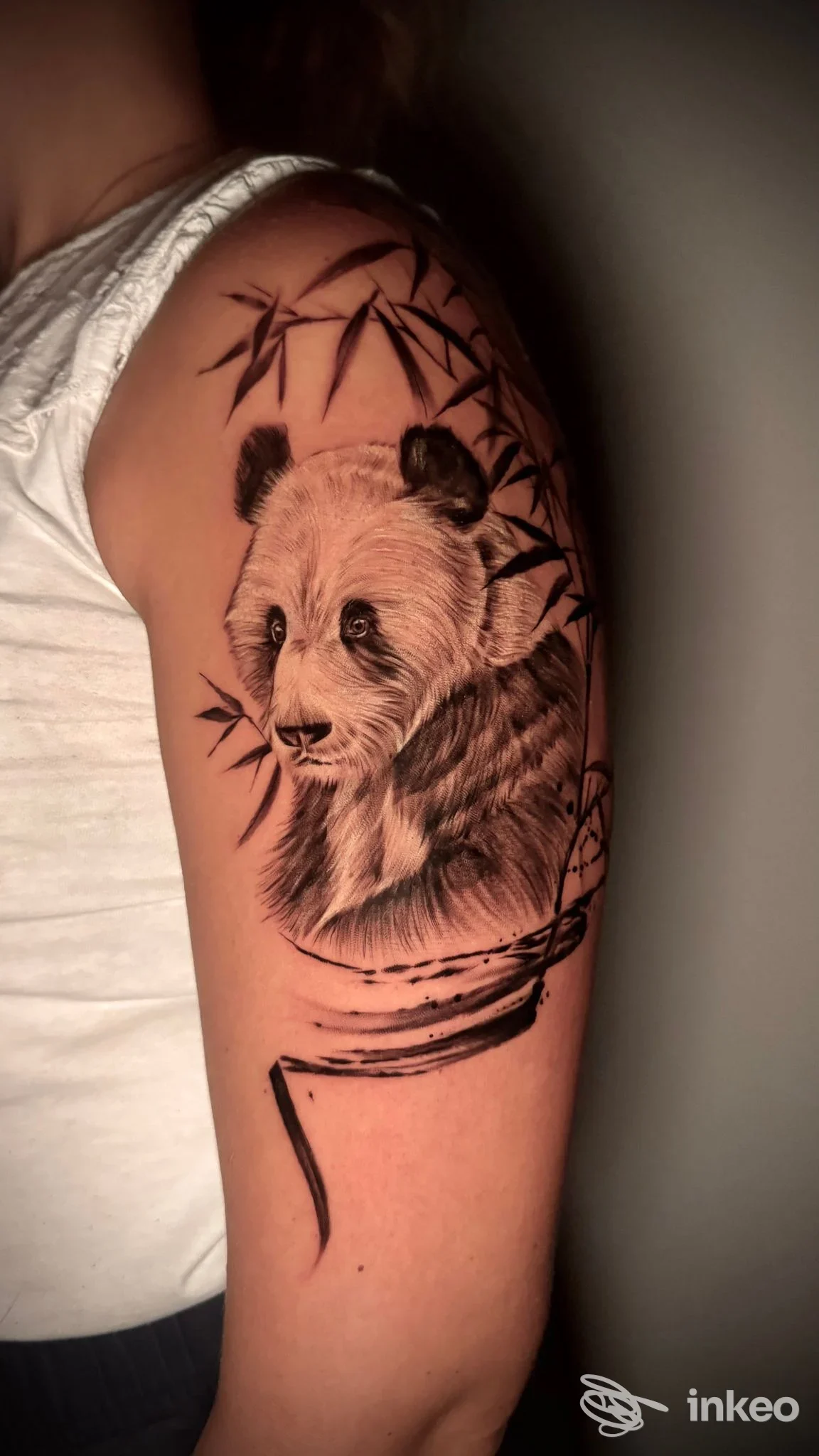 Tatuaggio realistico di un panda con rami di bambù sull'omero sinistro. INK TO THE WILD tattoo studio, Tivoli.