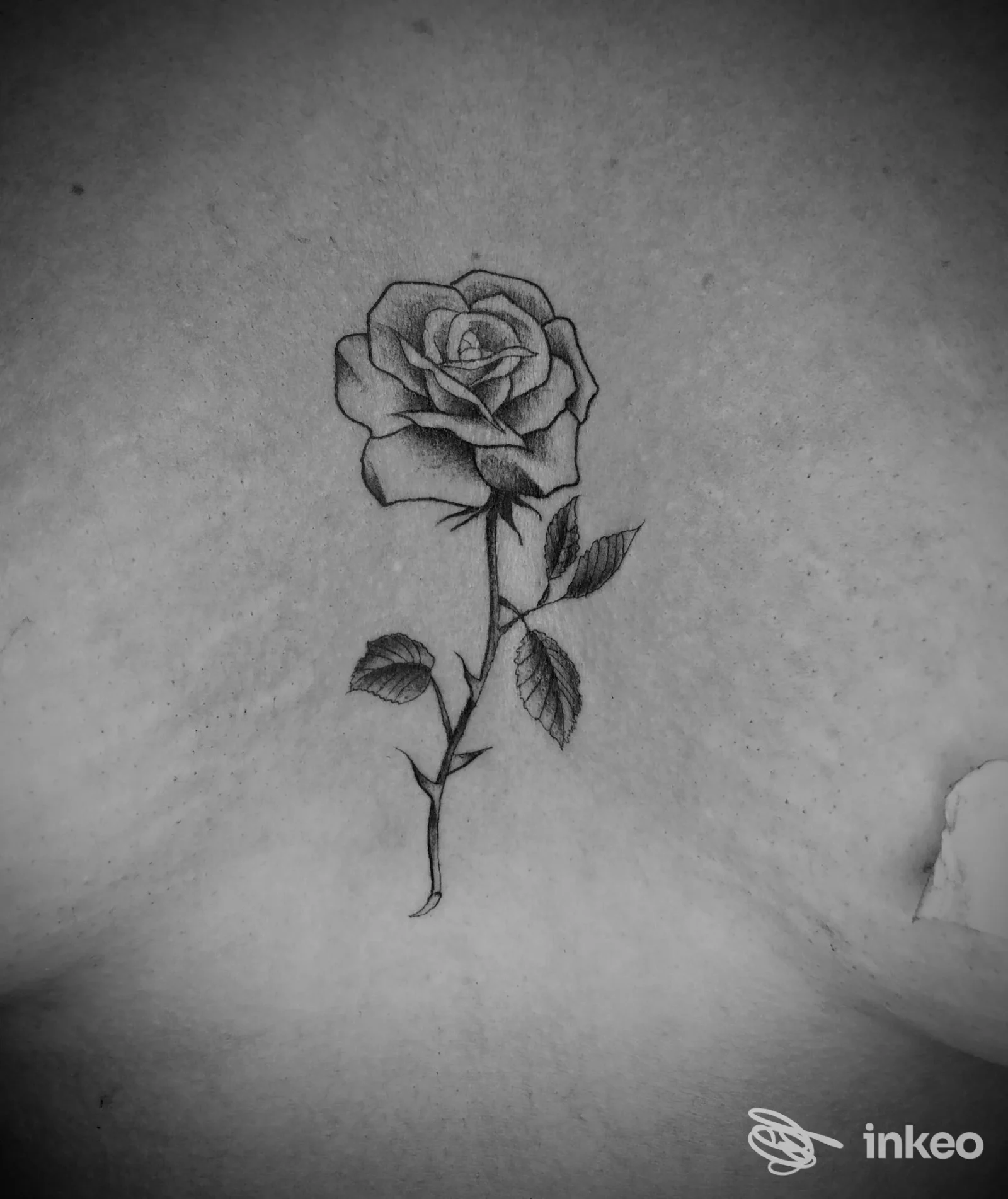 Rosa nera e grigia stilizzata tatuata sul petto, lavoro fotografato in primo piano. Indaco Tattoo crew, Torino.