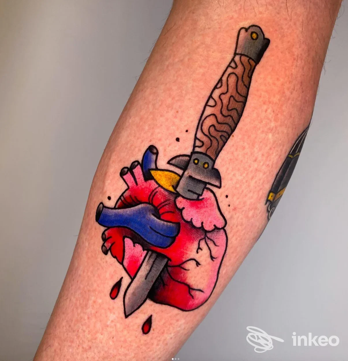 Tatuaggio a colori su avambraccio: cuore anatomico trafitto da pugnale — Ladies & Gentlemen Vicenza, Vicenza.