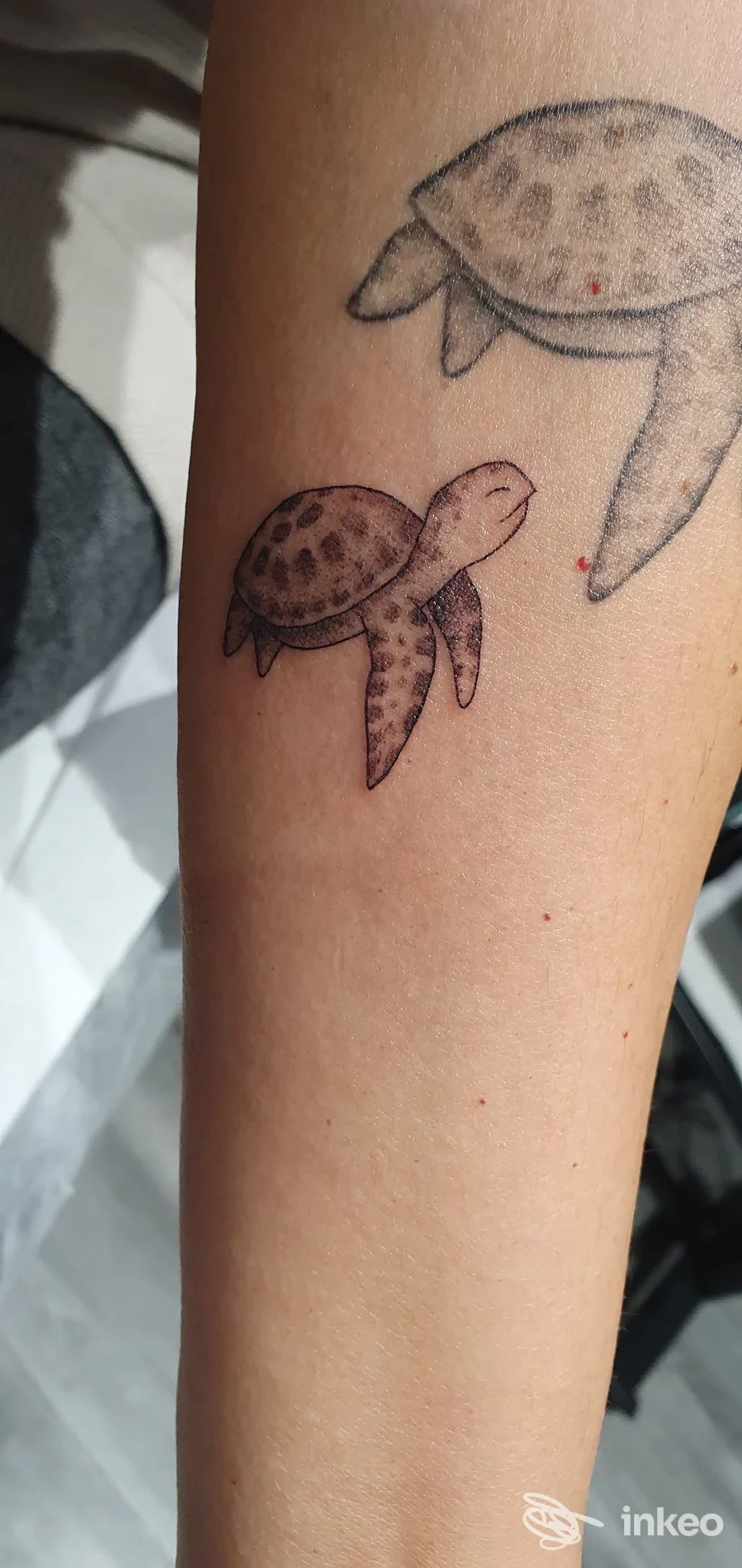 Tatuaggi di due tartarughe marine sull'avambraccio - Crisalide Tattoo, Conegliano.