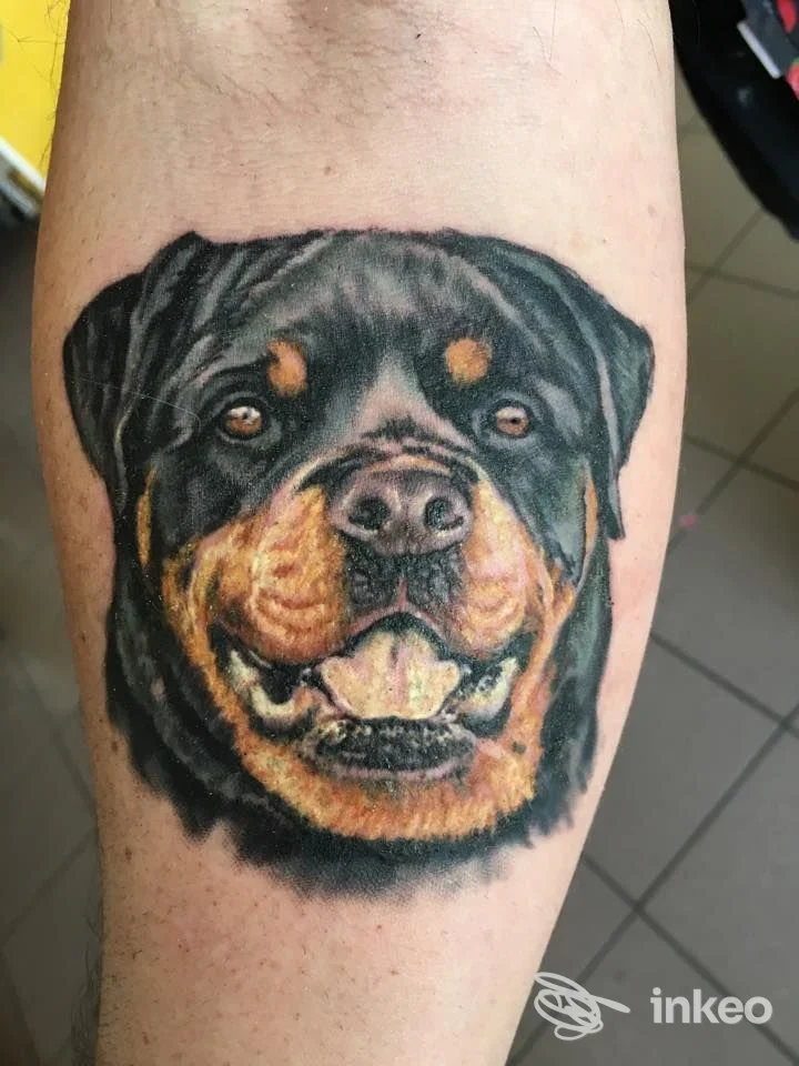 Ritratto realistico di cane tatuato sull'avambraccio, lavoro di The art of Leonardo Meschini - Studio di tattoo a Civita Castellana.