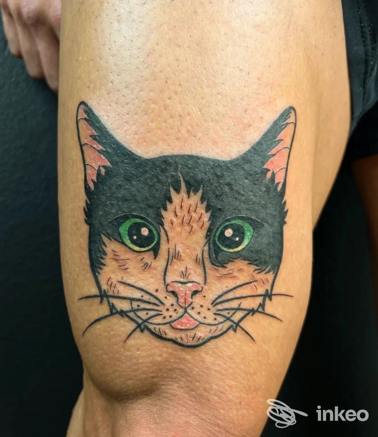 Gatto stilizzato tatuato sulla pelle del braccio, colori nero, verde e arancione, realizzazione corporea visibile