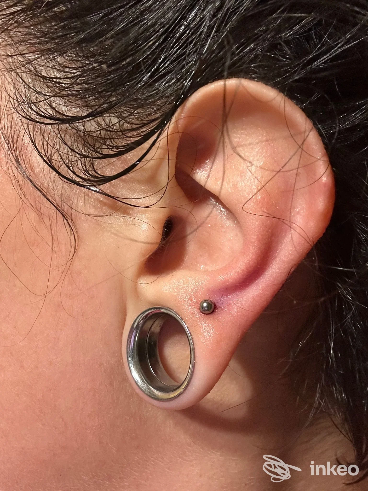 Primo piano di lobo con tunnel in metallo e micro-piercing, foto inviata dallo studio La Bruma a San Lorenzo al Mare.