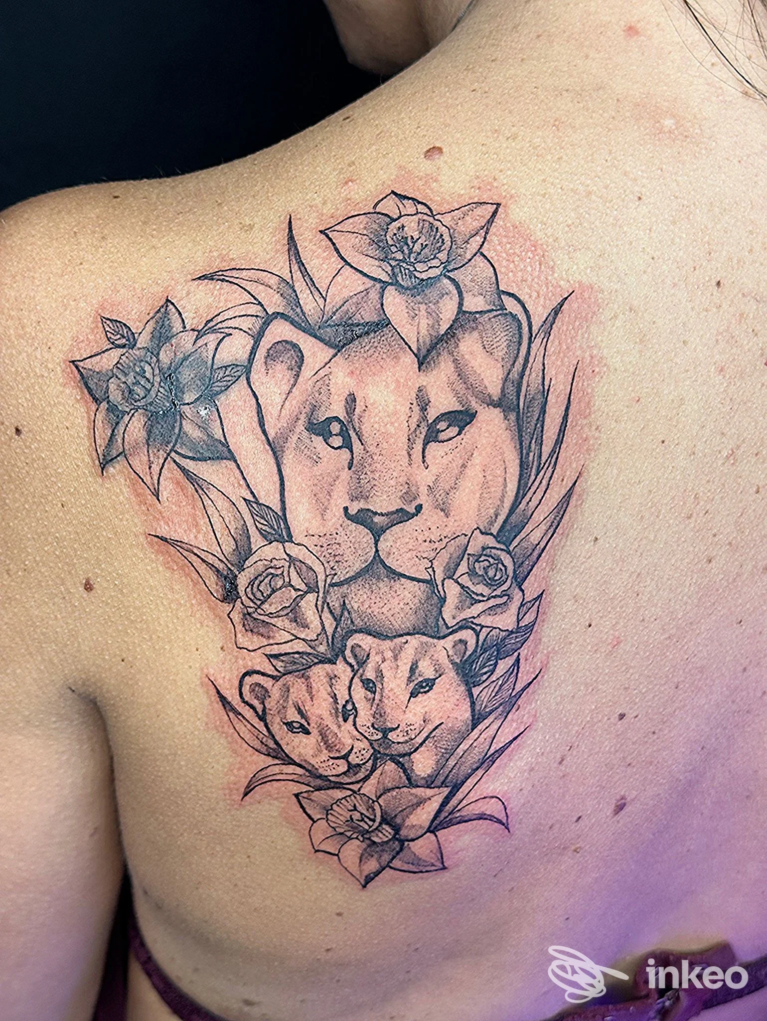 Tatuaggio sulla scapola con leonessa, cuccioli e fiori, realizzato da HASU 22 tattoo beauty & fashion parlour a Livorno.