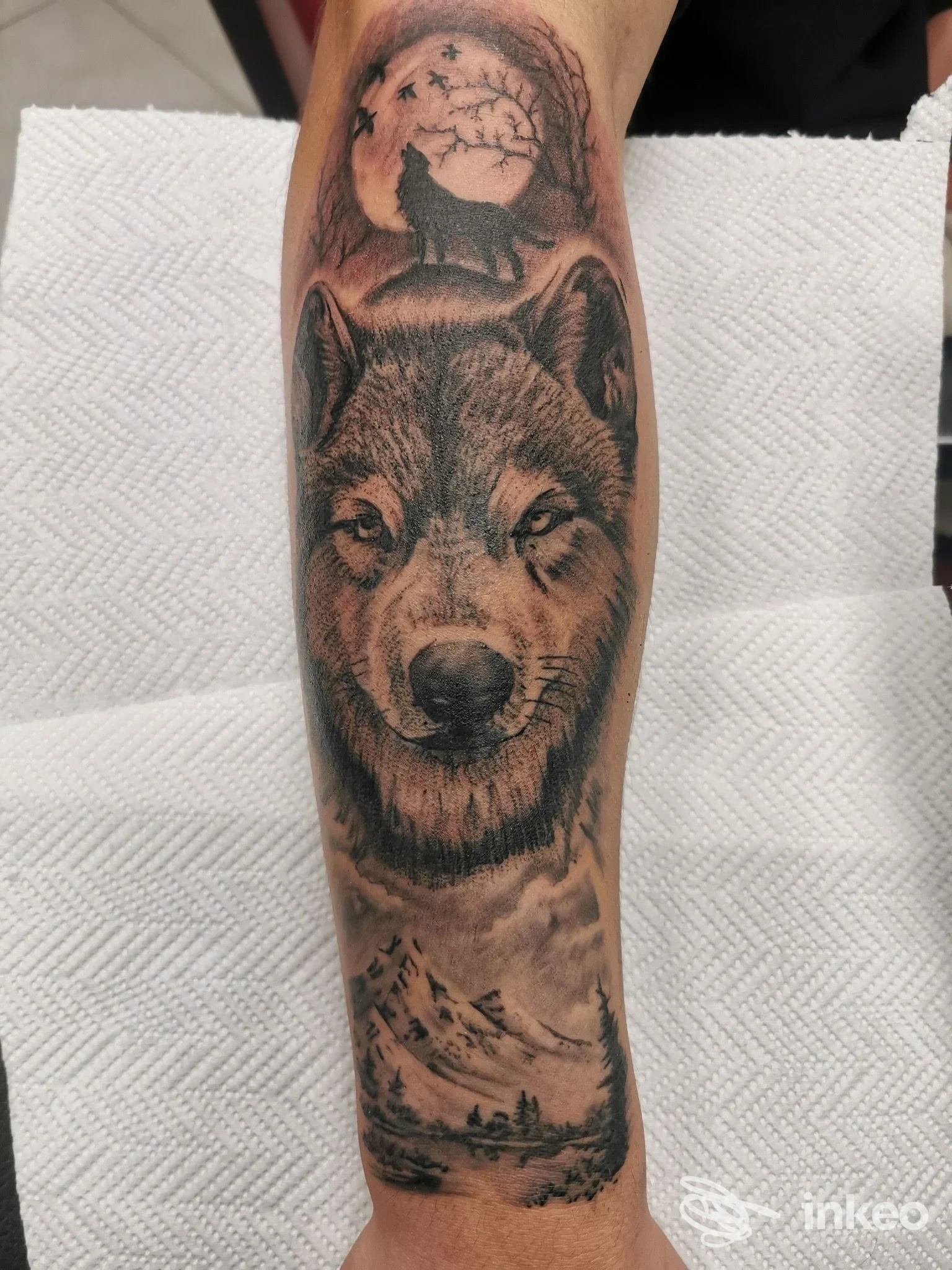 Tatuaggio realistico black & grey su avambraccio con testa di lupo e paesaggio, FELIX TATTOO Ascoli Piceno.