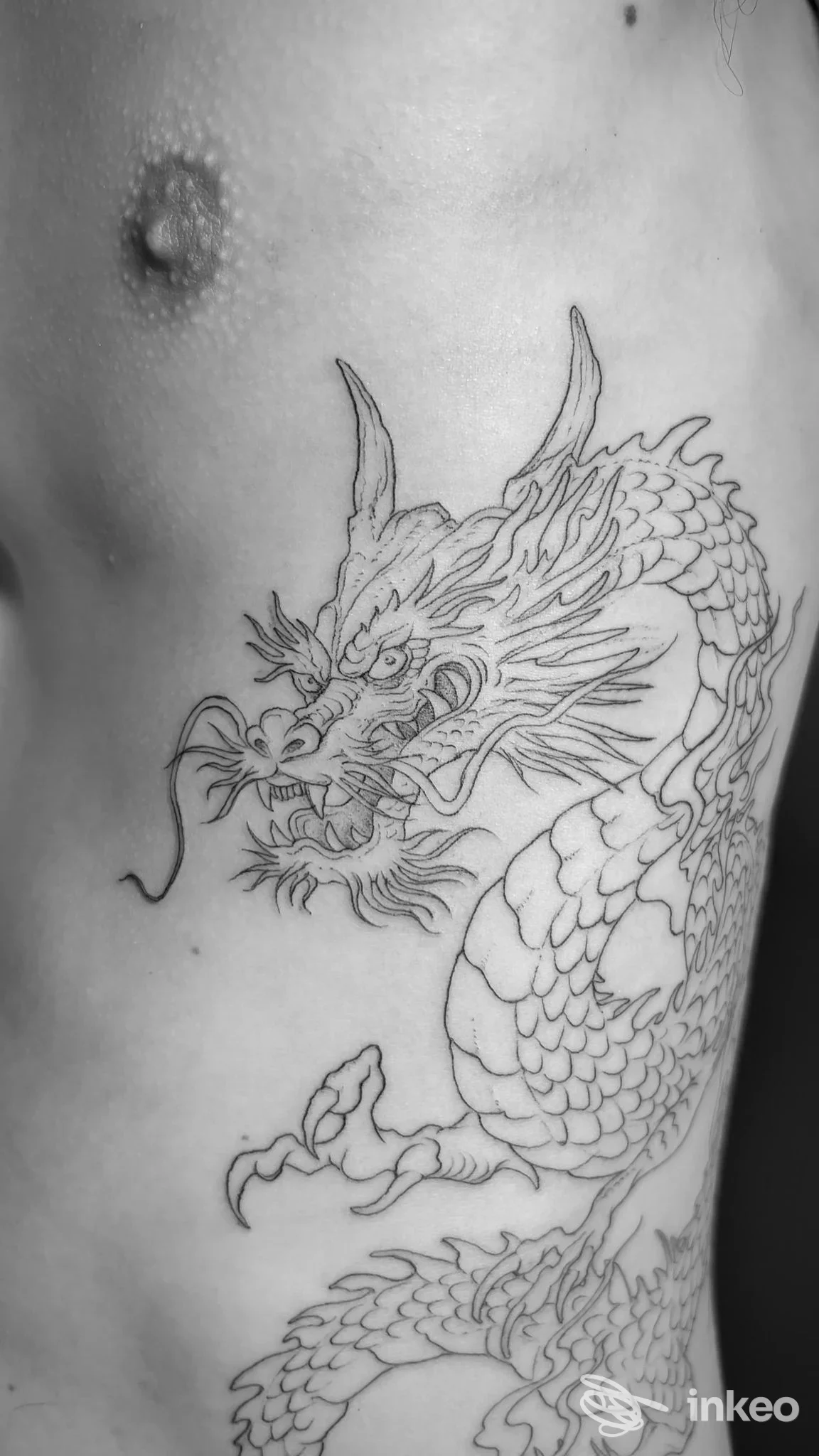 Tatuaggio linework a contorno di un drago sul fianco, foto fornita da VETUS ATELIER, Firenze.