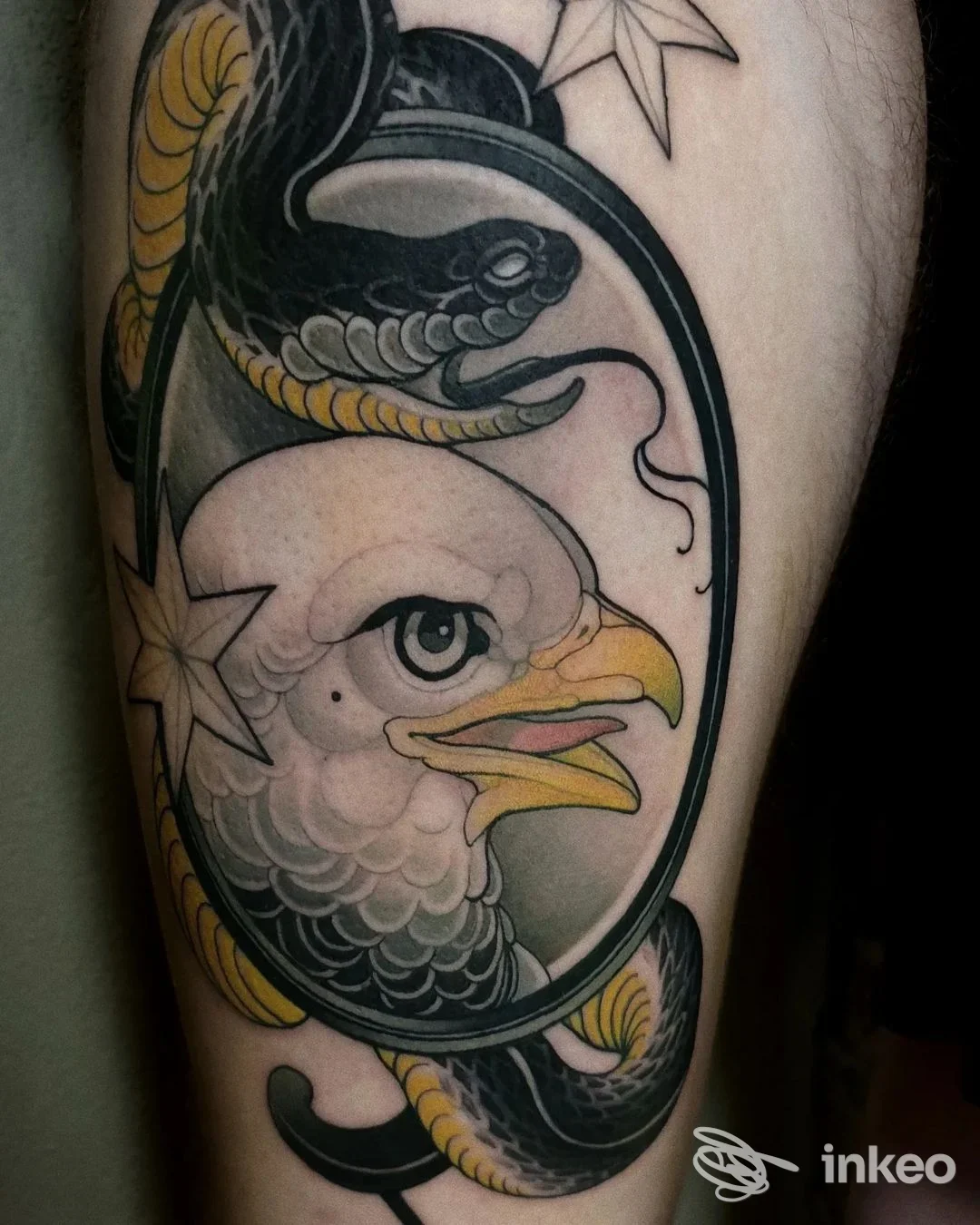 Tatuaggio su avambraccio con aquila e serpente in ovale, foto di Abracadabra, Cagliari.