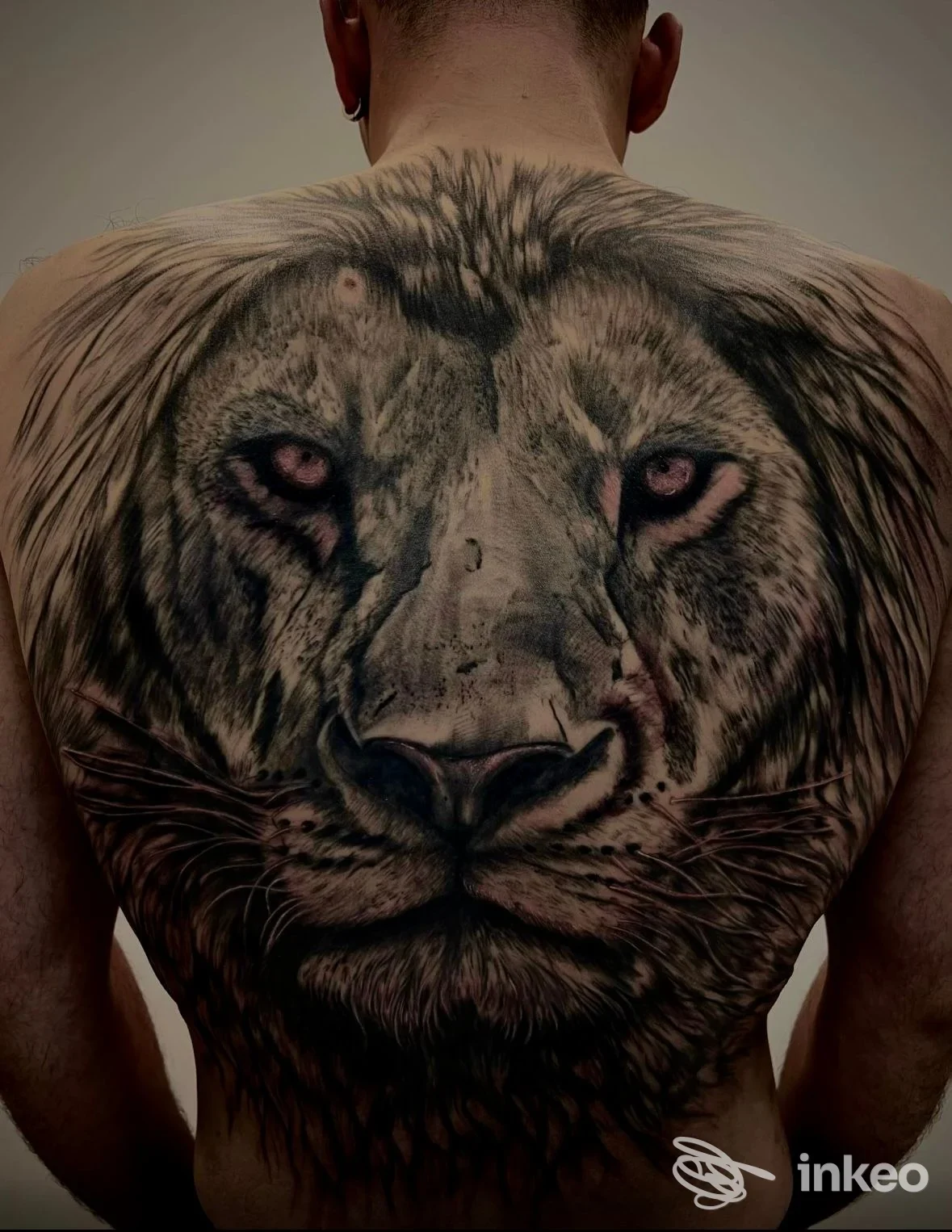 Grande tatuaggio realistico di leone sulla schiena, foto fornita da Kindergarten Studio a Varazze.