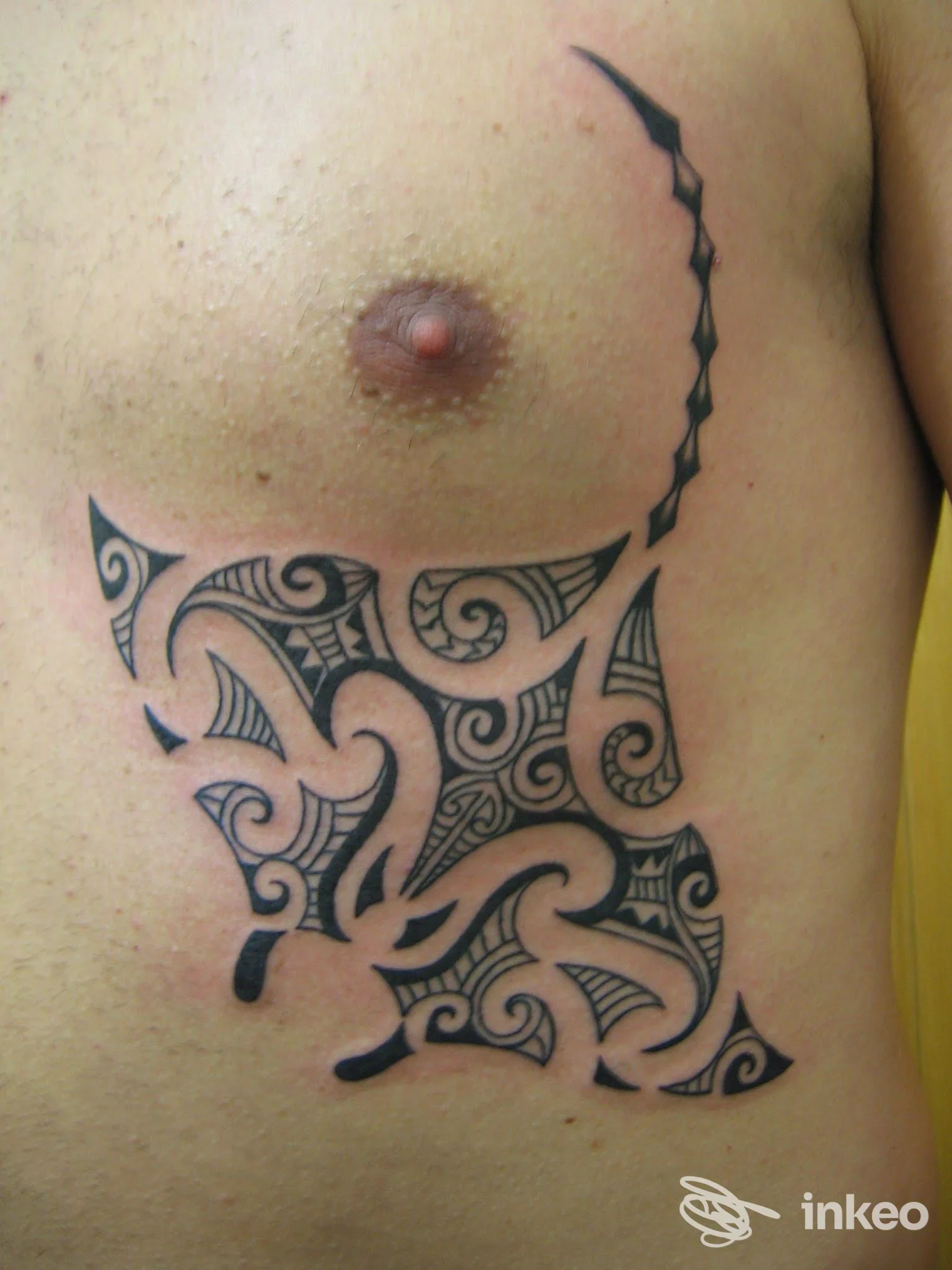 Tatuaggio tribale nero sul torace e fianco, Canapa Shop Tattoo Shop e Sexy Shop Van Gogh, San Fior.