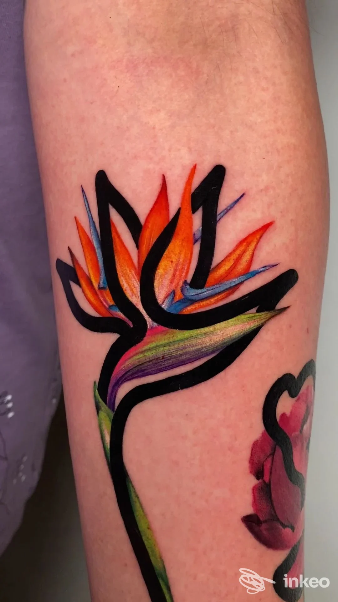 Tatuaggio colorato a tema fiore Birds of Paradise con contorni neri su pelle del braccio, con sfumature arancione, rosso, giallo, verde e viola, visibile sul braccio destro.