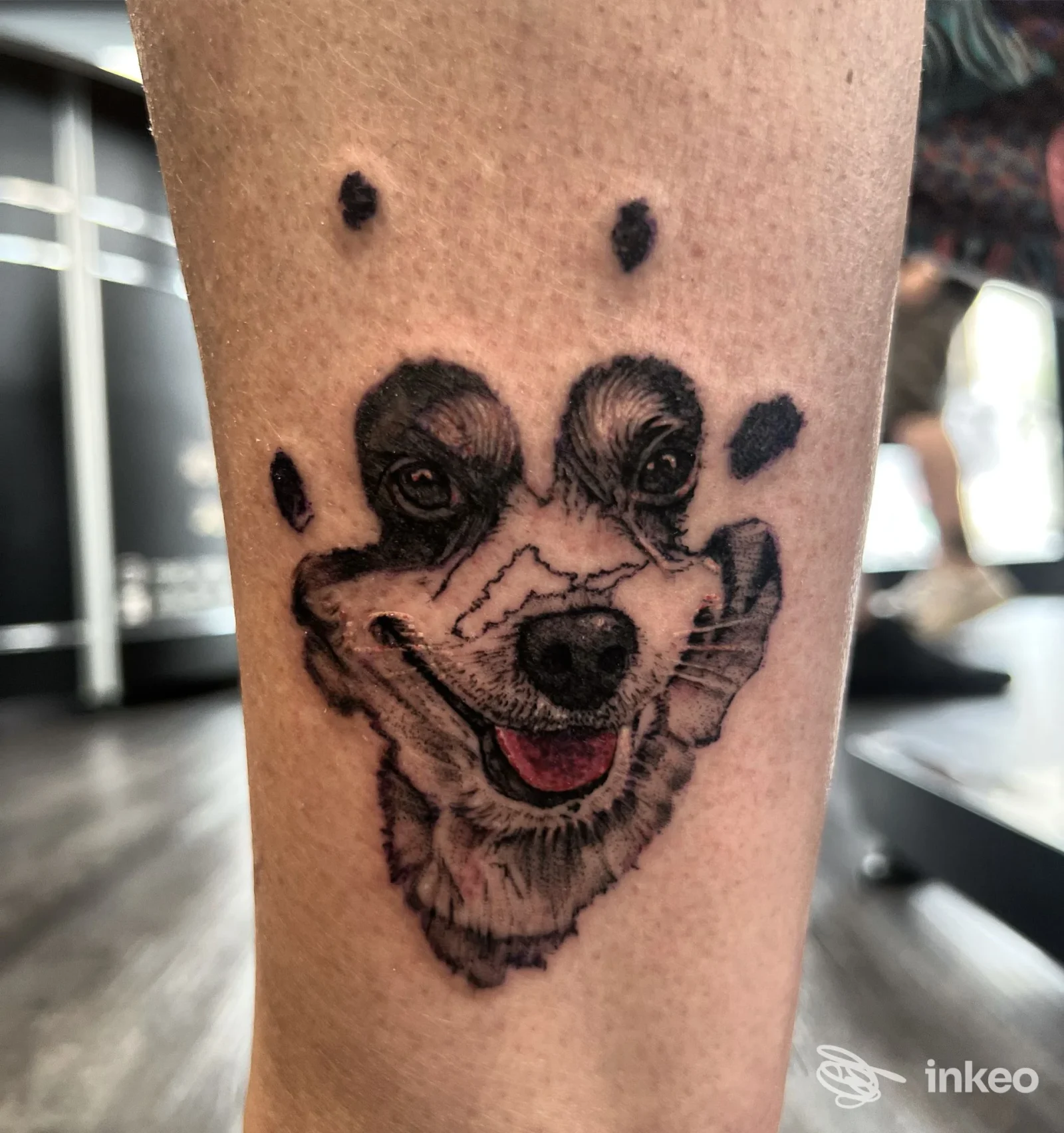 Tatuaggio del volto di un cane sul polpaccio, Marley tattoo & piercing a Castiglione del Lago.