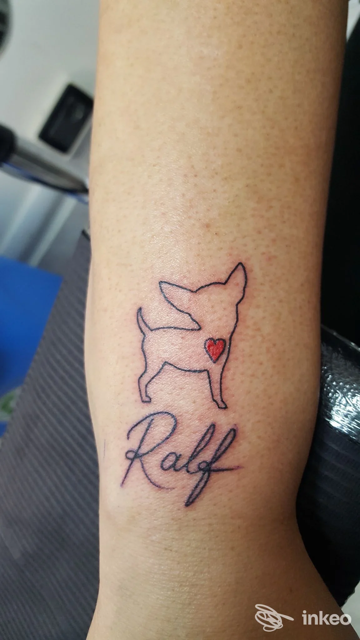 Tatuaggio su avambraccio con sagoma stilizzata di cane, cuore rosso e scritta 'Ralf' — Sol del Paraiso, Alessandria.