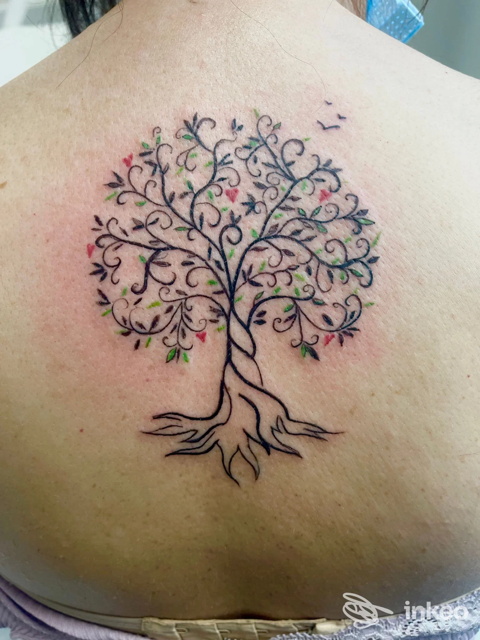 Tatuaggio centrato sulla parte superiore della schiena: albero stilizzato con radici e foglie colorate, immagine da Mattia Palmitesta, Grottammare.