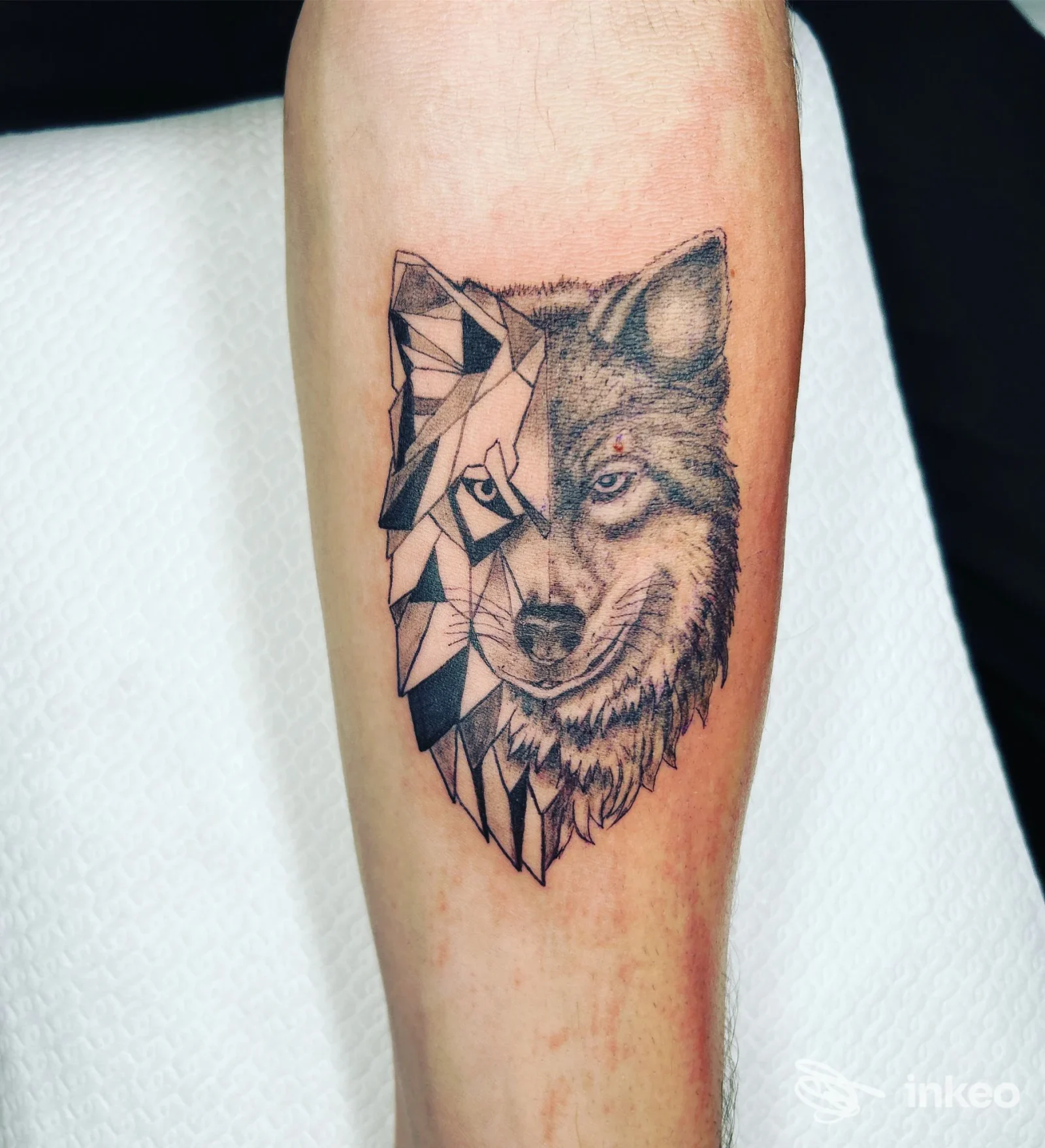 Tatuaggio sull'avambraccio che unisce metà geometrica e metà realistica di un lupo, eseguito da Mytattoo_ft_studio a Invorio.