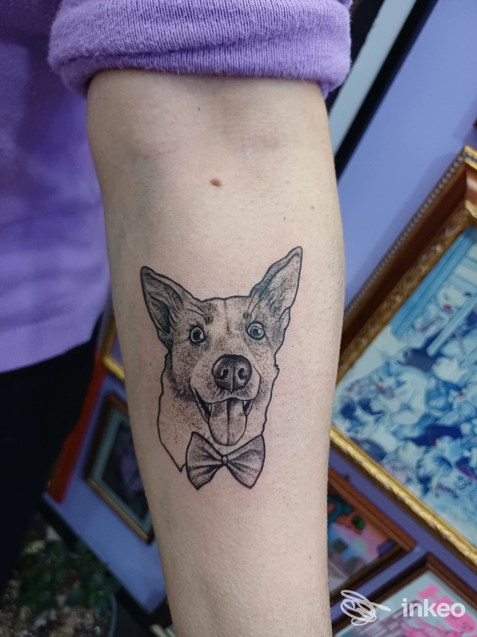 Tatuaggio su avambraccio di una testa di cane con fiocco, disegno a linee nere su pelle chiara, senza elementi promozionali visibili.