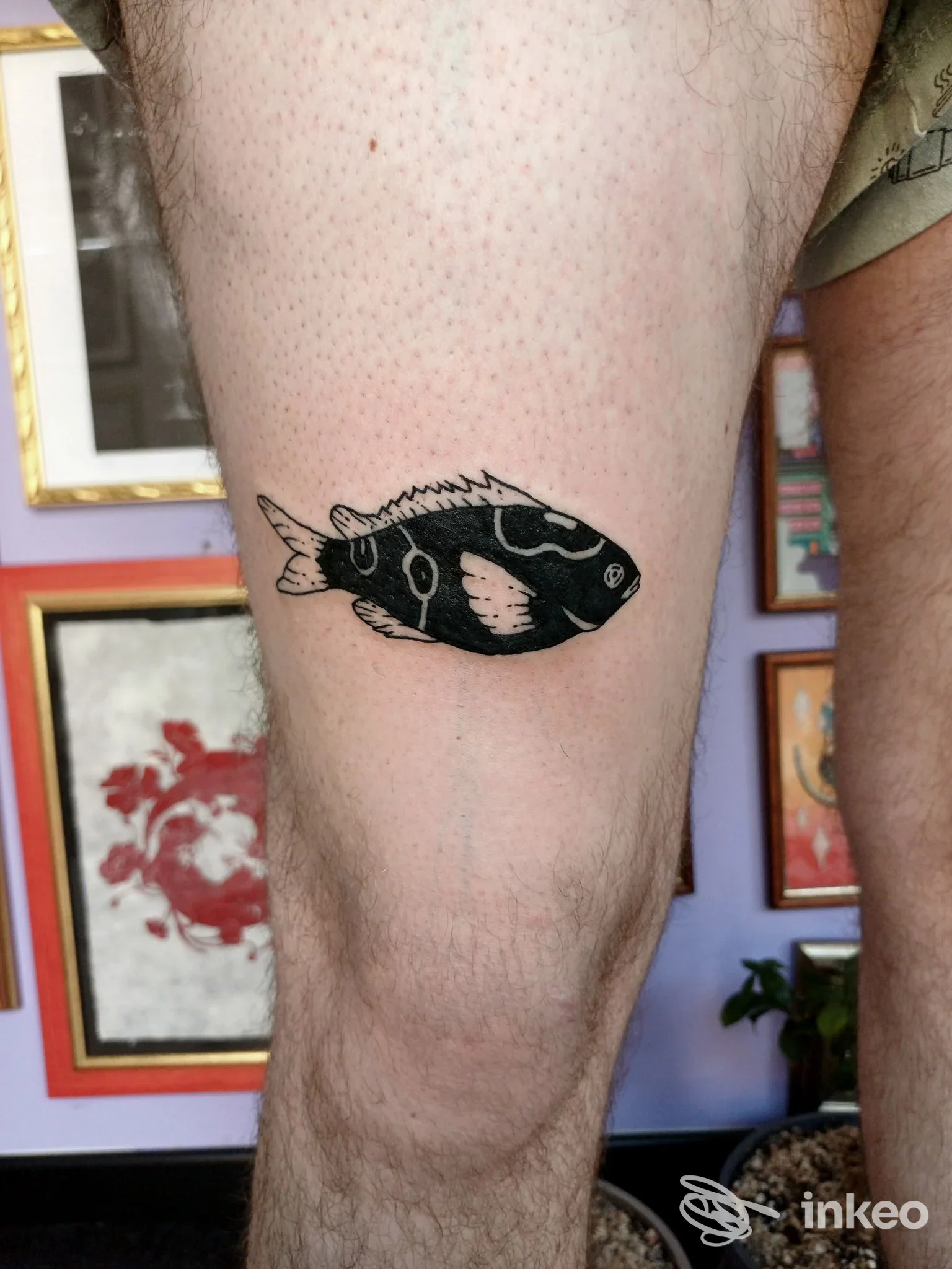 Tattoo di un pesce nero su pelle umana, visibile sulla gamba, scatto singolo dall’angolo laterale.