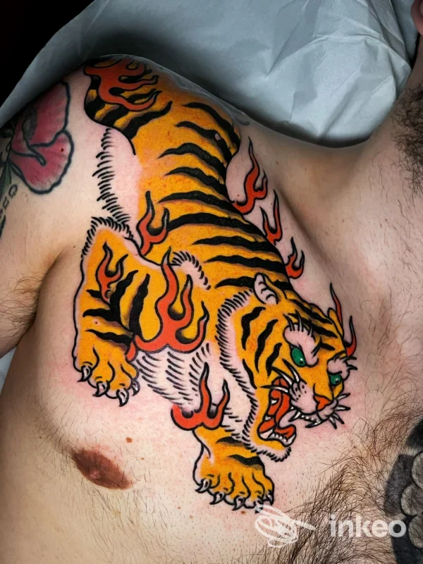 Grande tatuaggio di tigre in stile tradizionale sul petto, eseguito da Electric Riviera Tattoo Club ad Alassio.