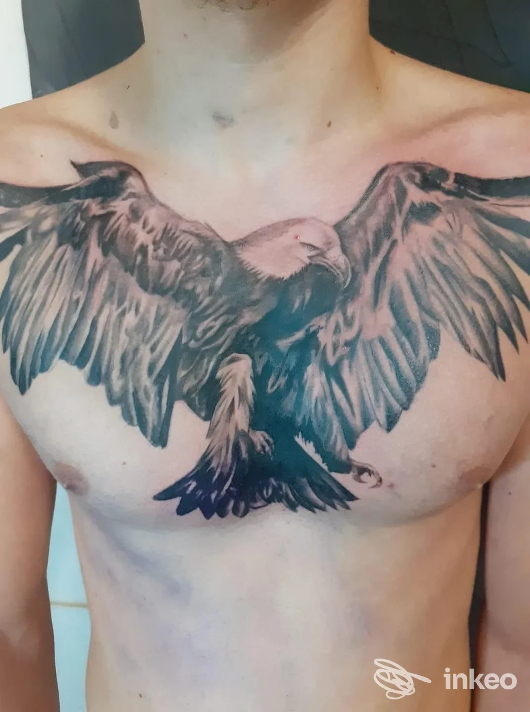 Grande tatuaggio a forma di aquila sul petto, opera pubblicata da The Inked Monkey a Terni.