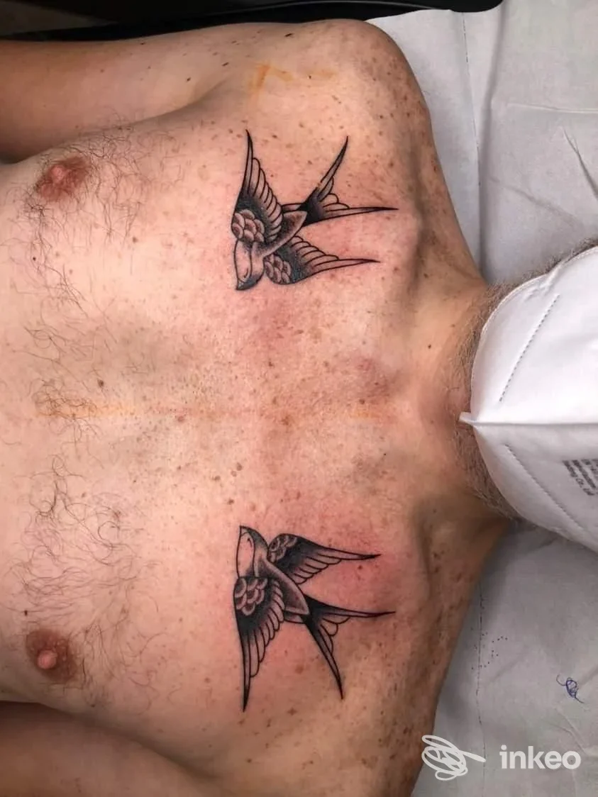 Due rondini tatuate in nero sul petto superiore di un cliente, foto scattata nello studio Quei bravi ragazzi a Verbania.