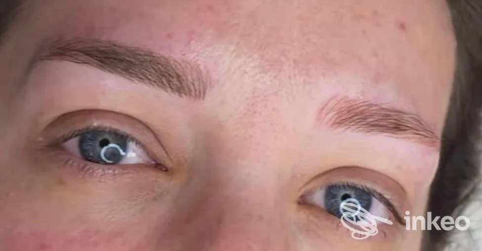 Primo piano di sopracciglia con trucco semi-permanente, trattamento eseguito da Atelier Mica Mihaela a Livorno.