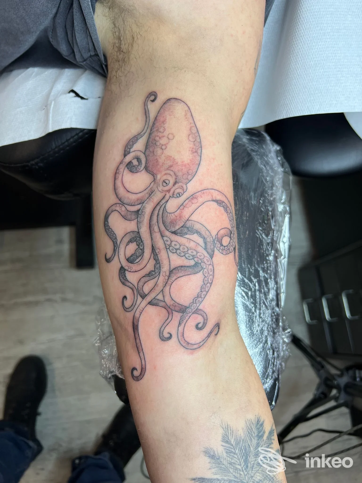 Tatuaggio di un polpo sull'avambraccio, foto inviata da Ludwig Tattoo a Bologna.