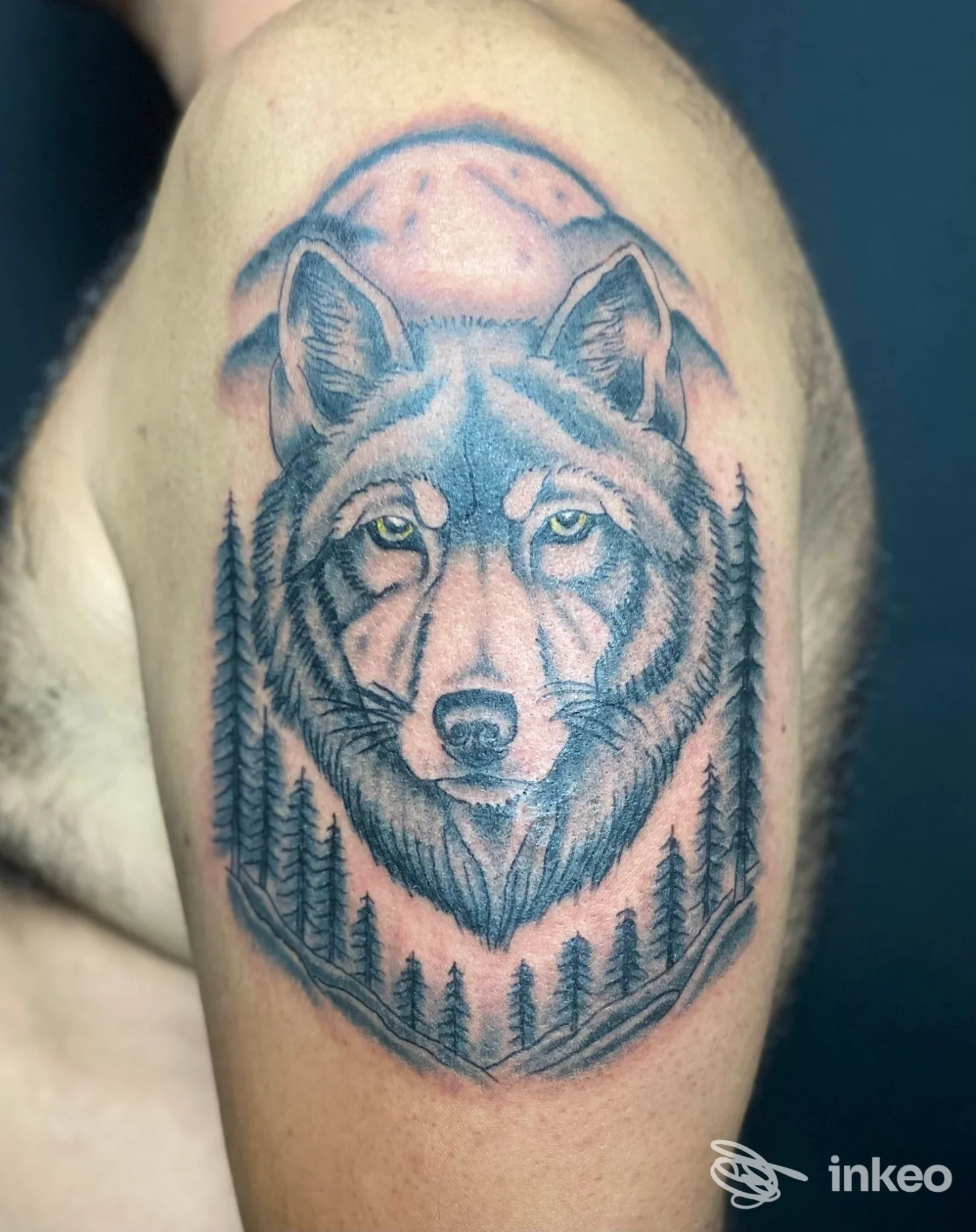 Tatuaggio a forma di testa di lupo con alberi sul braccio superiore, foto fornita da Iron Mallet Tattoo Parlour, Corato.