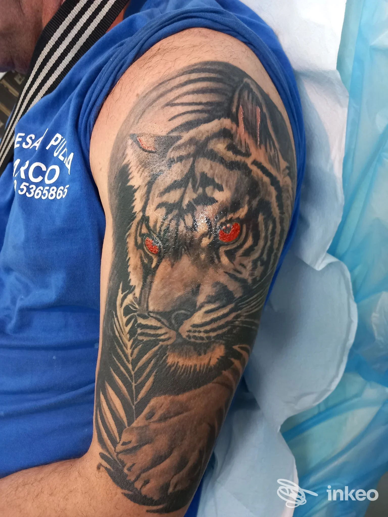 Tatuaggio realistico di una tigre sull'omero/braccio superiore con occhi arancioni, fotografato in studio Samui Tattoo Museum, Mugnano di Napoli.