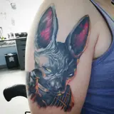 Profilo Instagram di Skin Painter Tattoo Shop