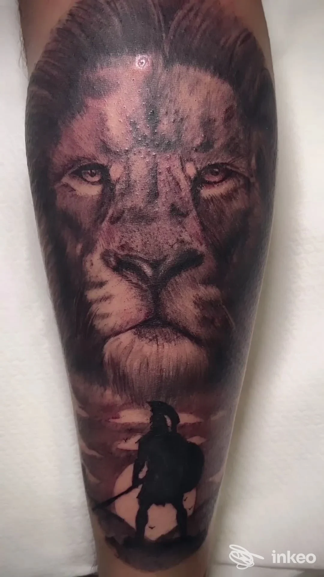 Tatuaggio realistico di un volto di leone sull'avambraccio. ELLE Estetica & Tattoo, Bellona.