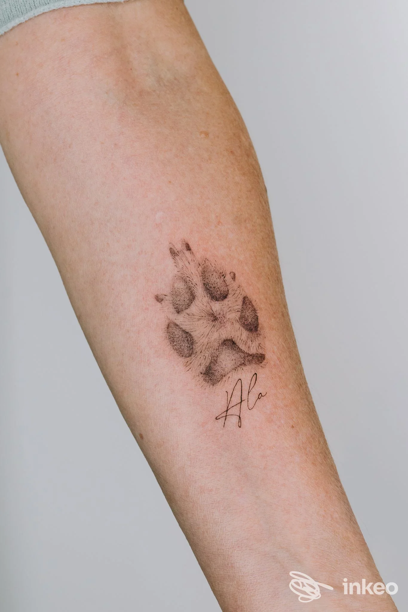 Tatuaggio impronta di zampa con firma sull'avambraccio, foto inviata da Accademia – More Than Tattoo a Rozzano.