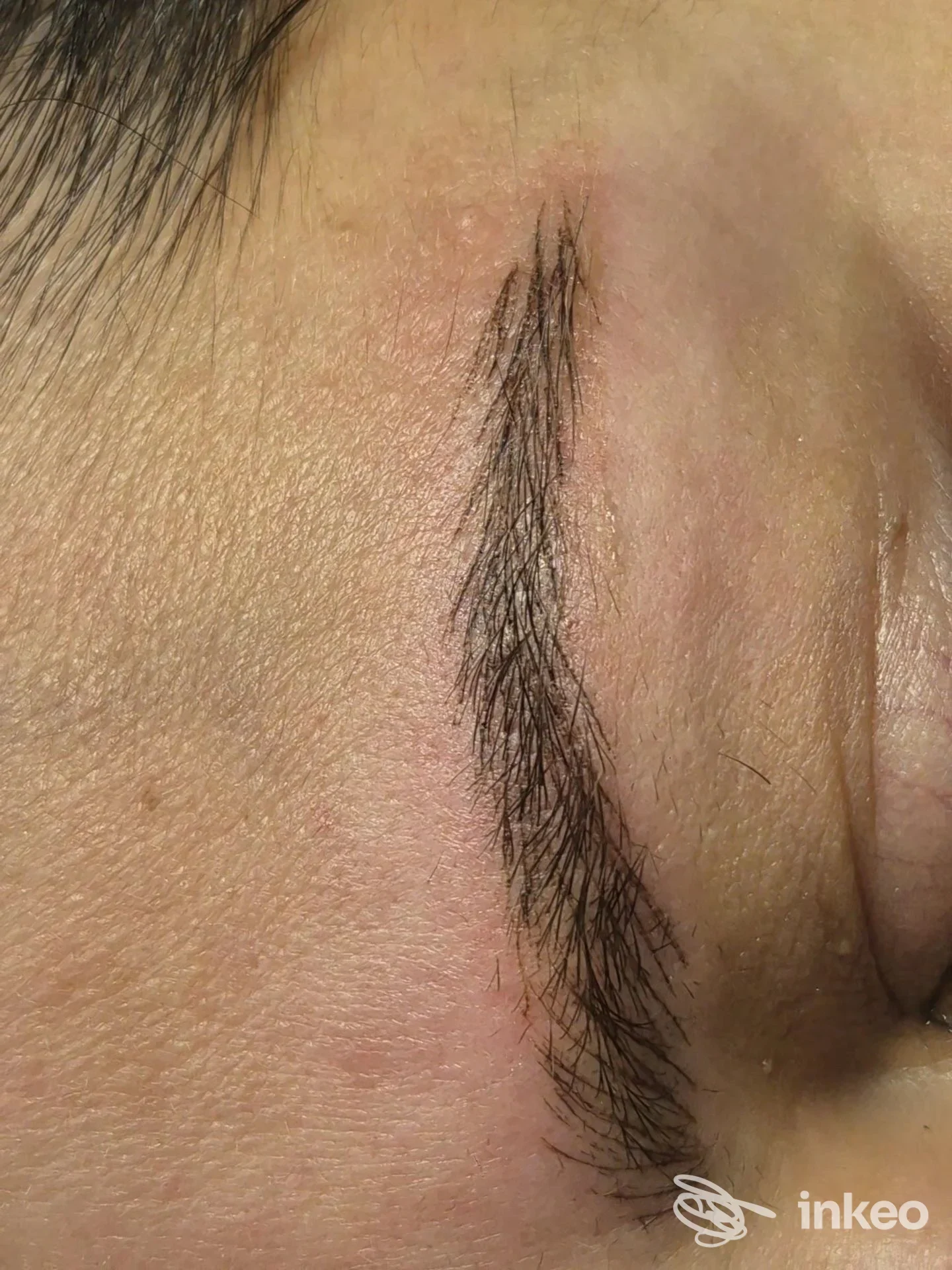 Primo piano di sopracciglio con microblading, foto fornita da DermoEstetik a Scalea.