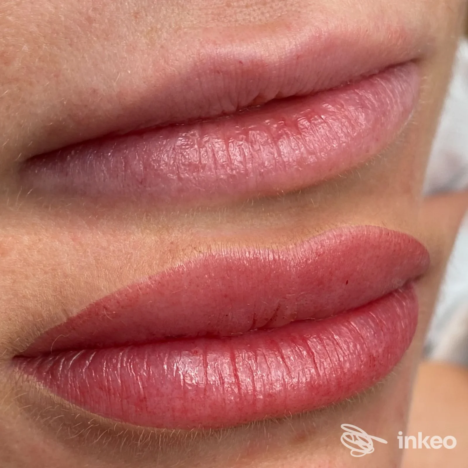 Trucco permanente labbra (lip blush) eseguito da Martina Fabbri PMU/microblading studio brows & lashes, Roma.