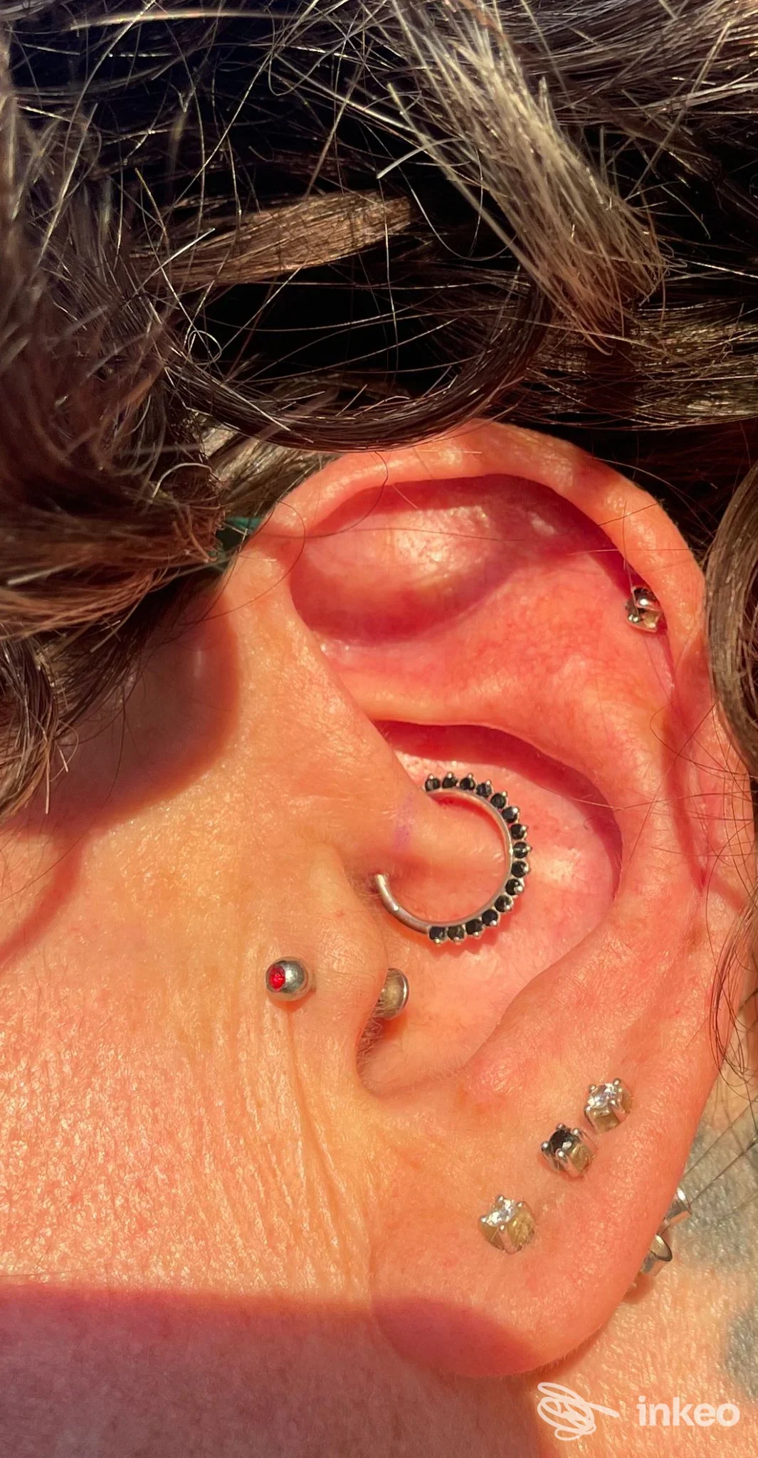 Primo piano dell'orecchio con più piercing eseguiti da Borneoflower Piercing Studio, Sanremo.