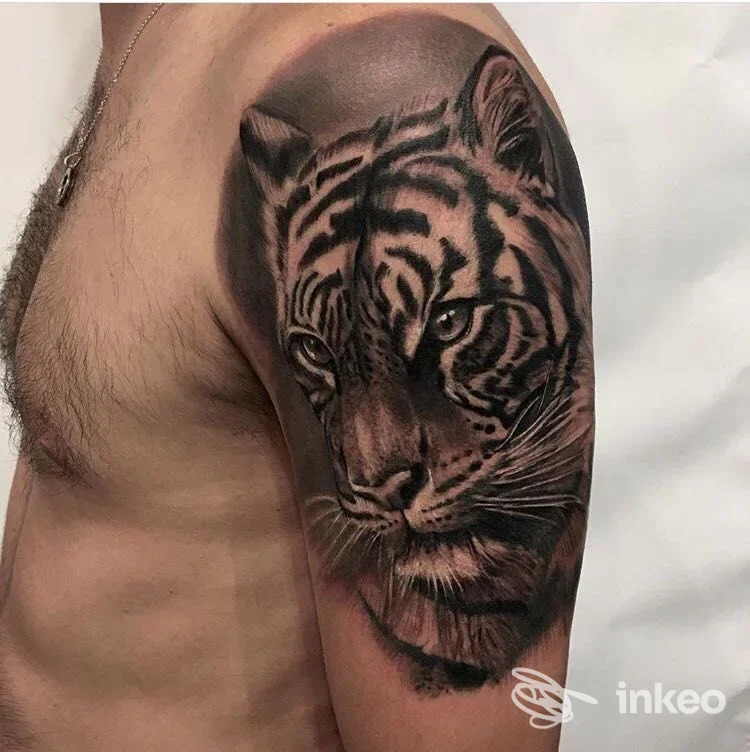 Tatuaggio realistico di tigre su spalla e parte superiore del braccio, realizzato da Michel Art Tattoo Studio a Viterbo.
