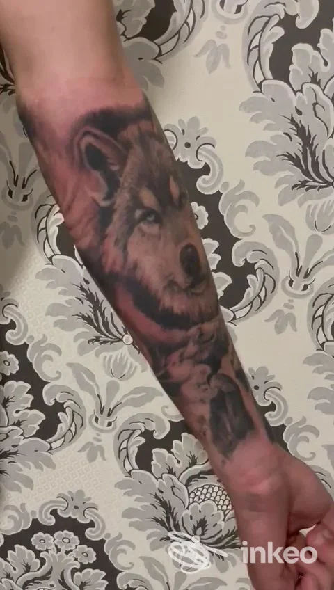 Avambraccio con tatuaggio realistico di un lupo su pelle reale, foto singola. Michel Art Tattoo Studio, Viterbo.
