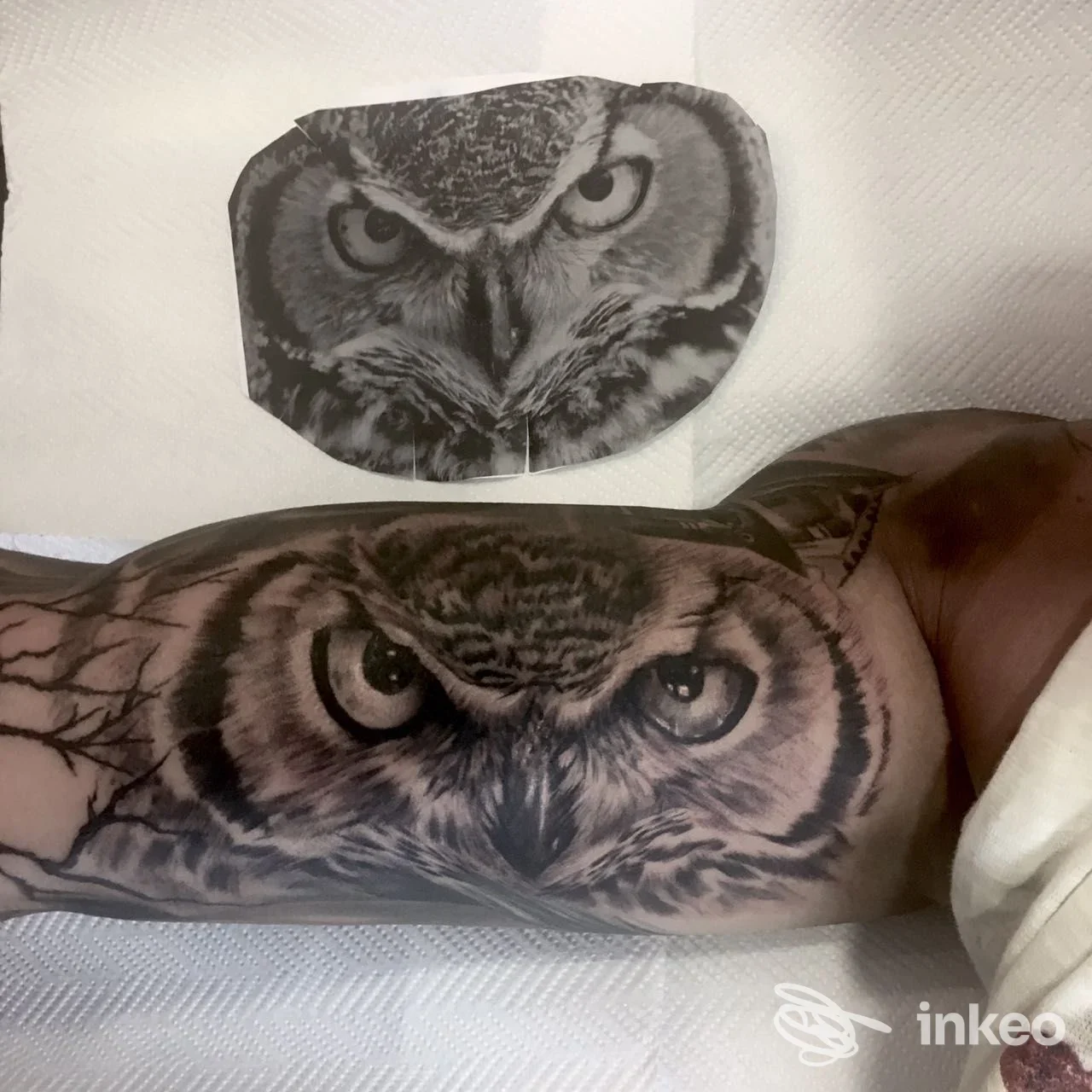 Tatuaggio gufo realistico sull'avambraccio, Michel Art Tattoo Studio, Viterbo