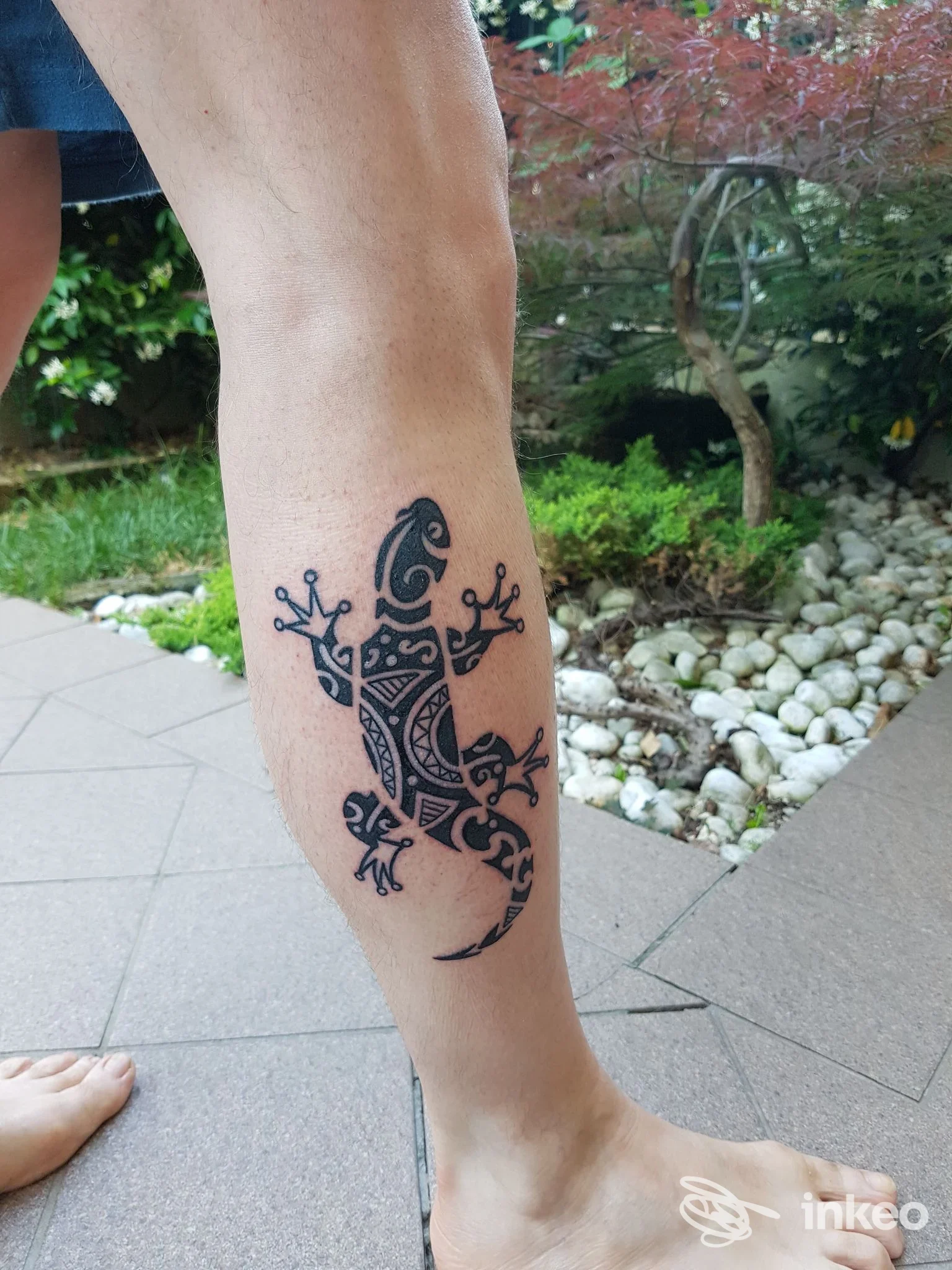 Tatuaggio a forma di gecko in nero sul polpaccio destro realizzato da Sacrum Cor a Zanè, fotografia della gamba con sfondo giardino.