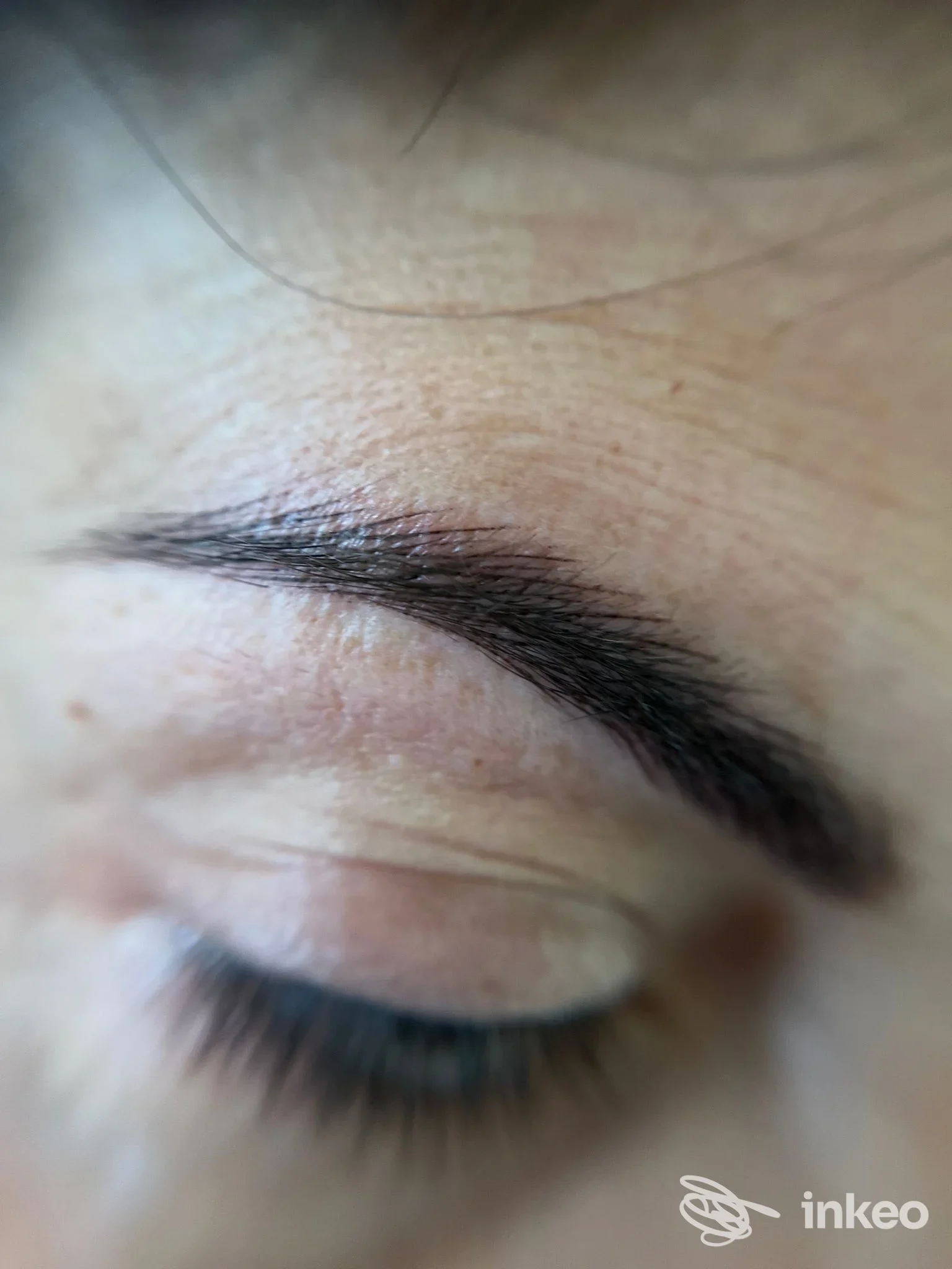 Primo piano di sopracciglio con trucco permanente, immagine fornita da Federica Savorani - Trucco Permanente & Beauty Studio Lugo, Lugo.