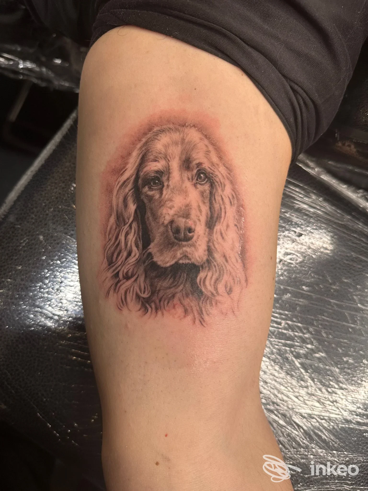 Tatuaggio realistico del volto di un cane sull'interno del braccio, eseguito da Academy Tattoo a Rieti.